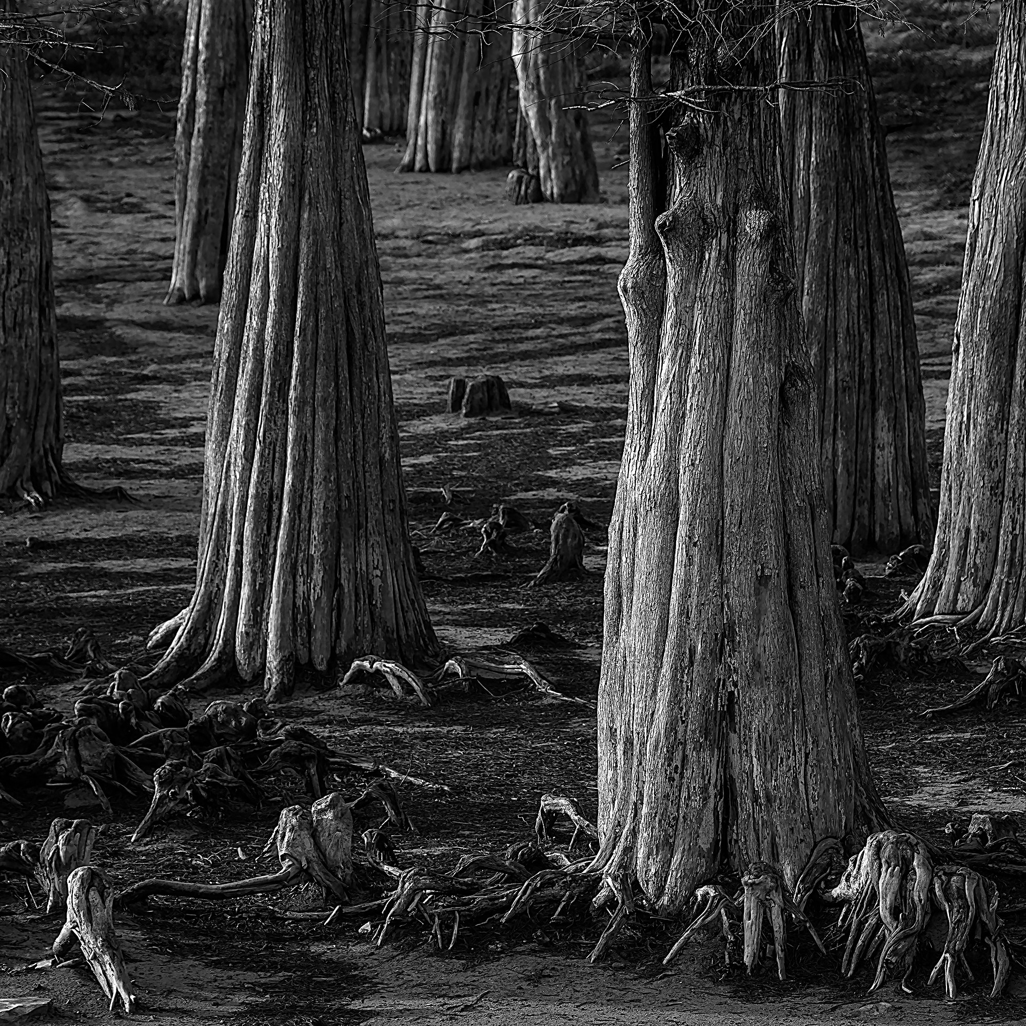 Пейзажи. Яркие фото на Чёрном море