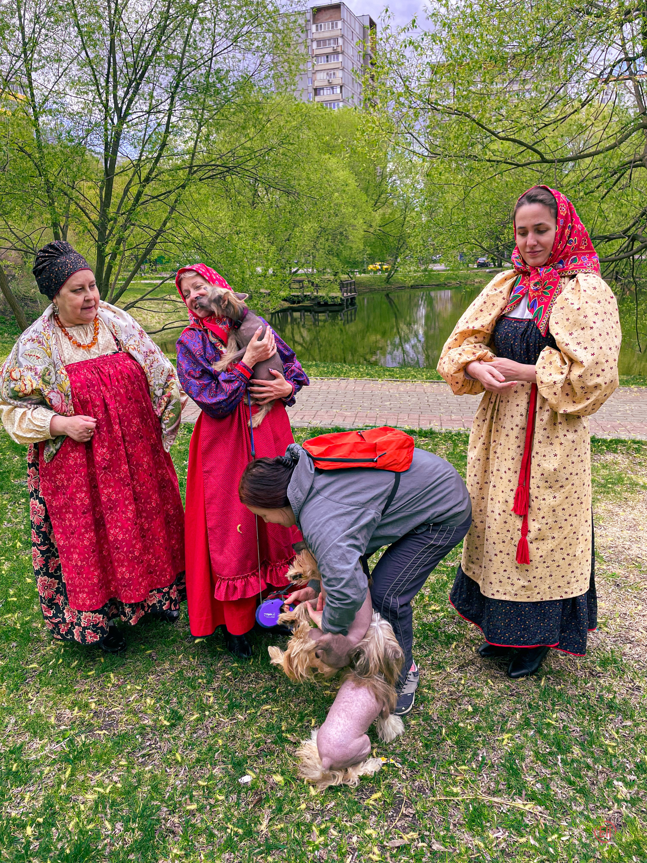 We were stopped on our walk!. Poale Ell Chinese Crested Dog Kennel: Buy a puppy from the kennel