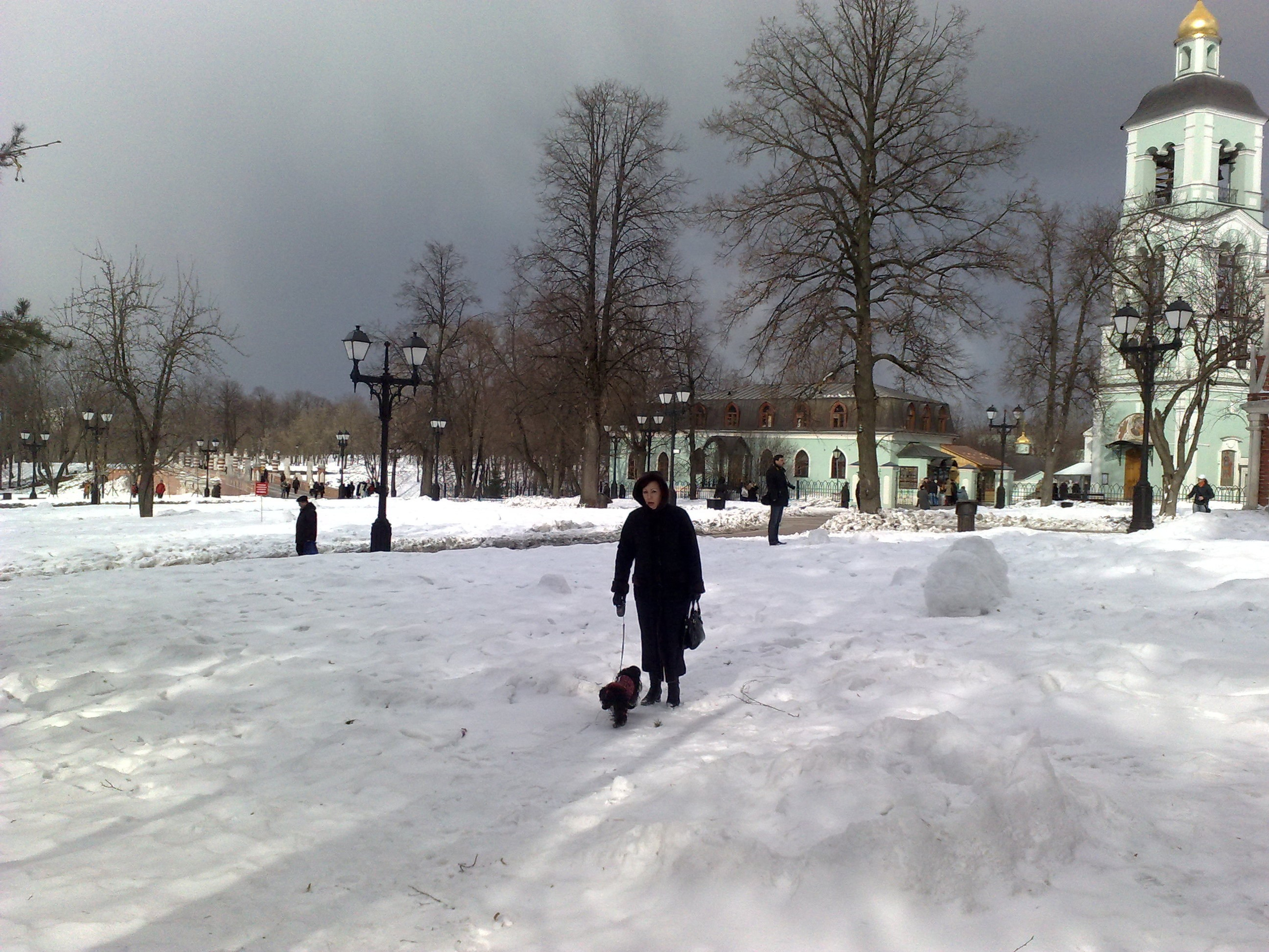 Царицино музей-усадьба. Питомник китайских хохлатых собак Poale Ell: купить щенка в питомнике