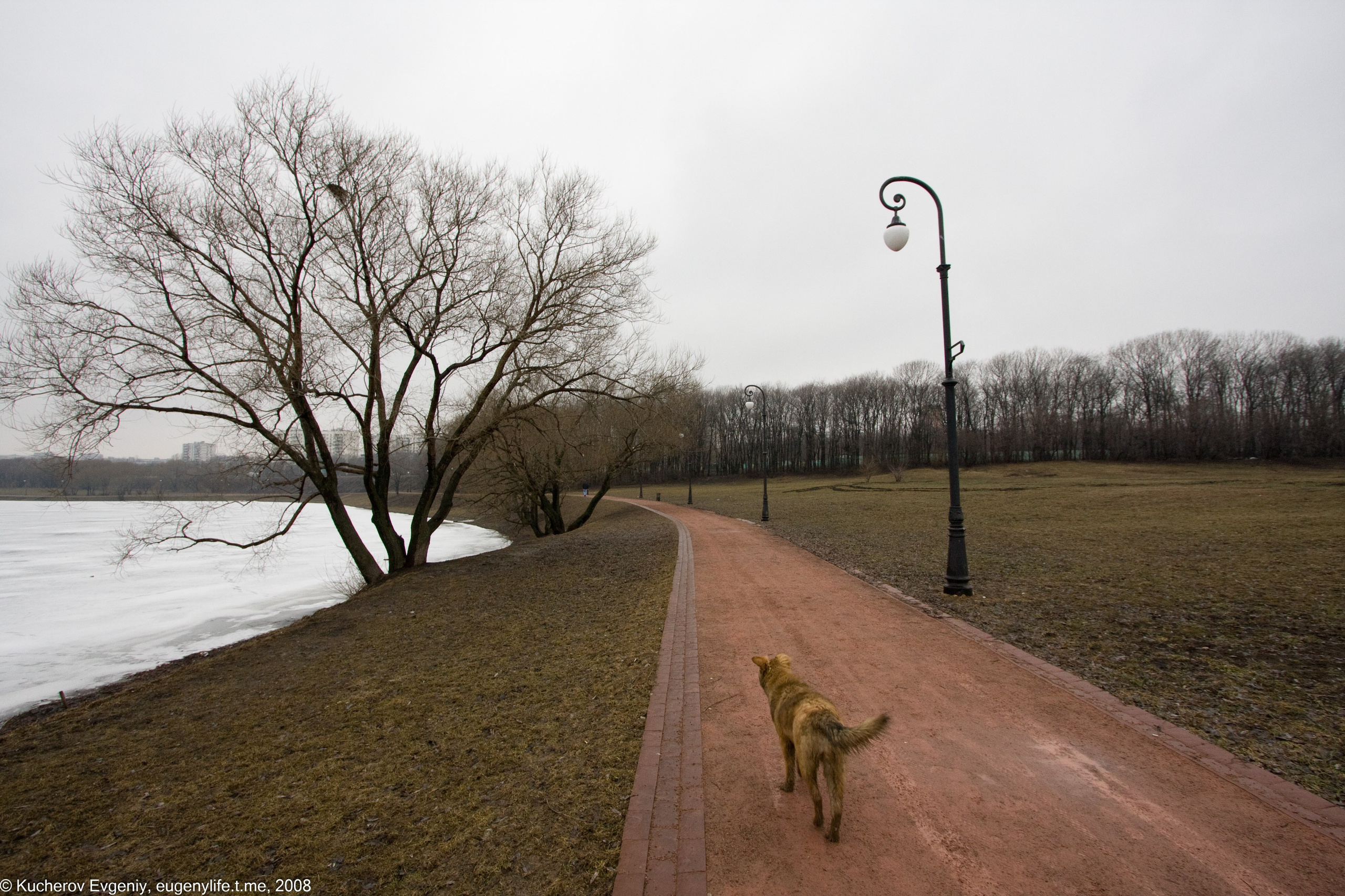 Репортаж. Кучеров Евгений. Фотограф