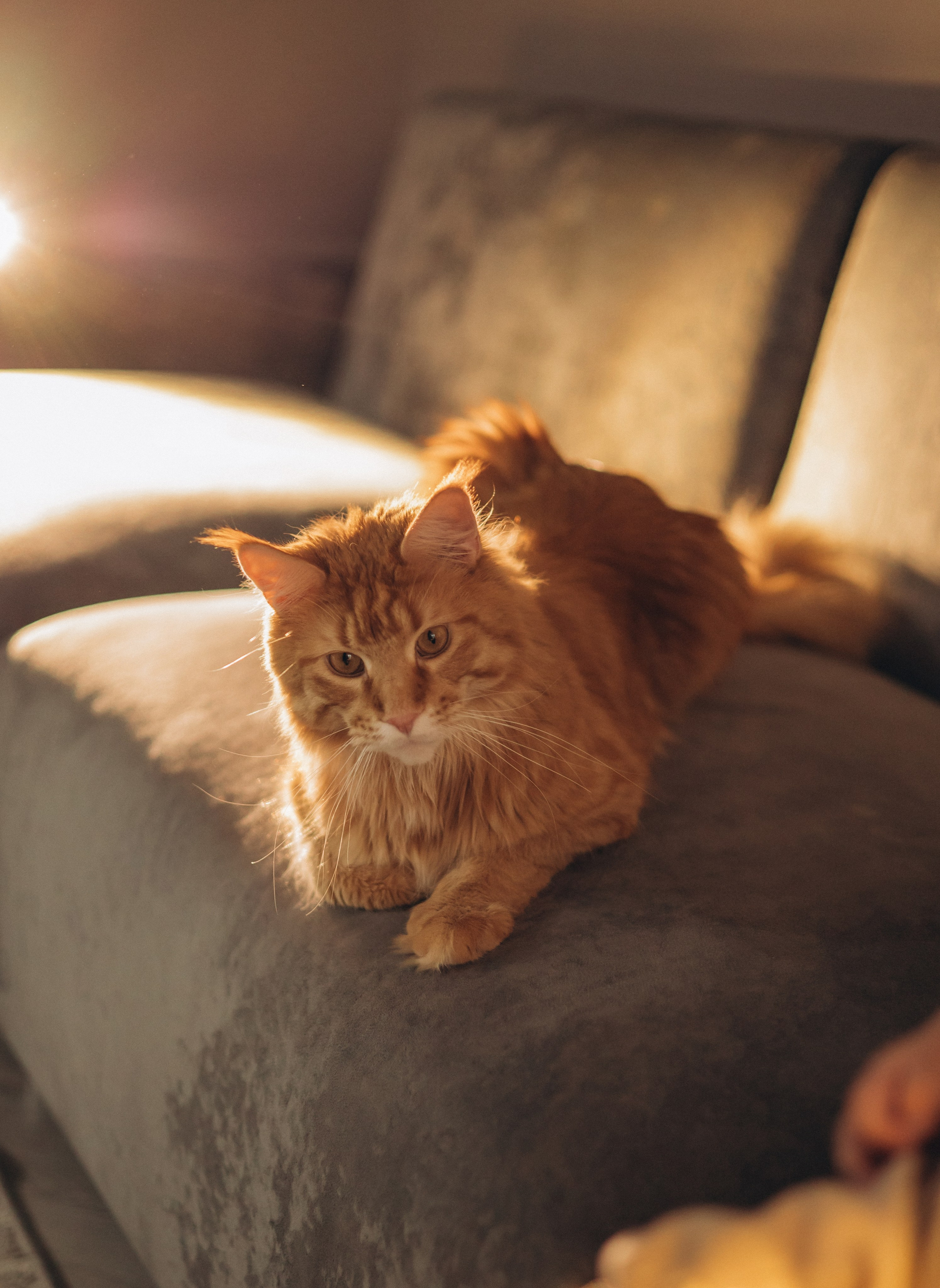 История дома. Фотограф Юлия Хакимова / Казань/ Чистополь