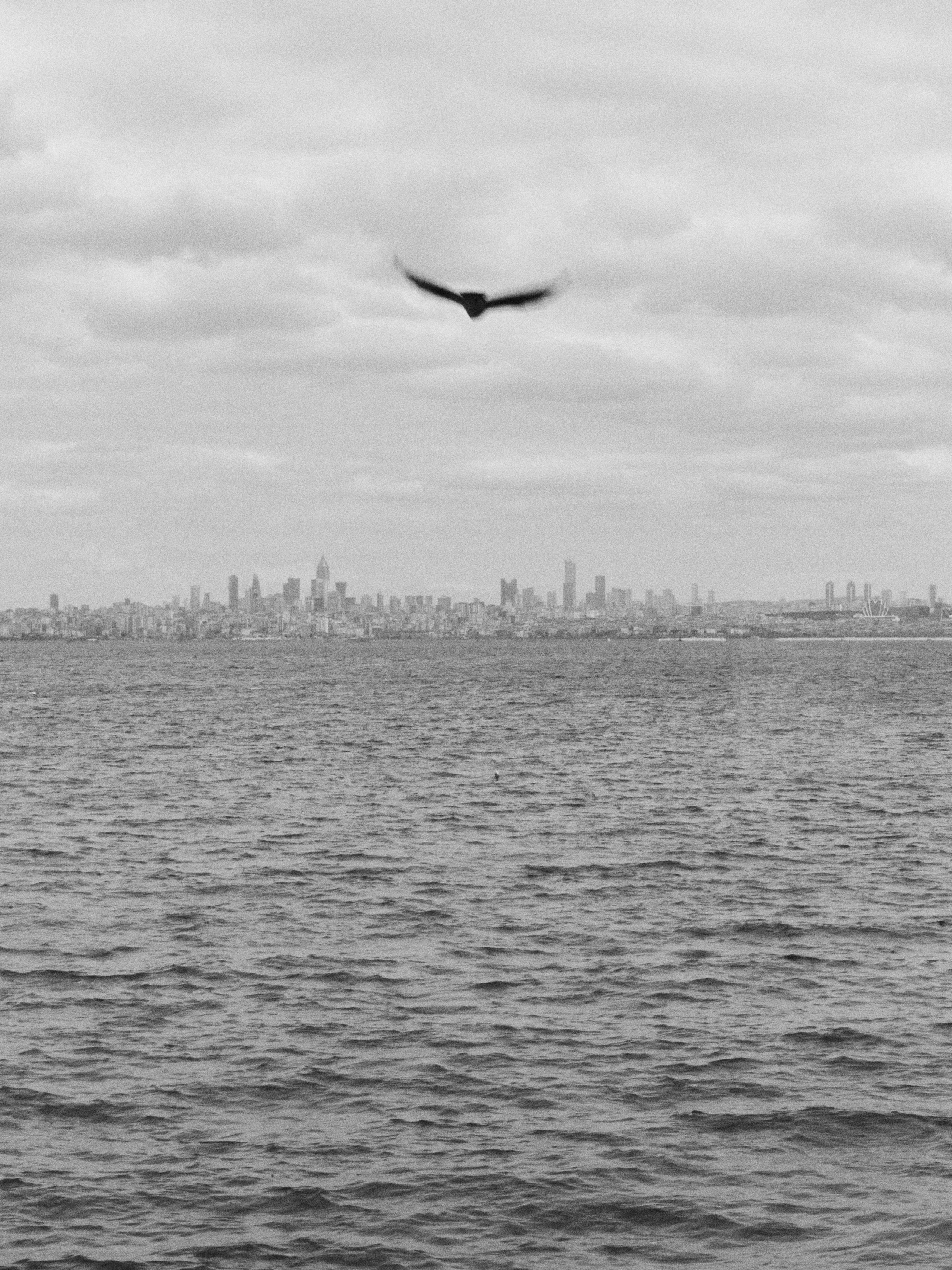 B&W. Jorgis — фотограф в Хургаде / обучение фотографии