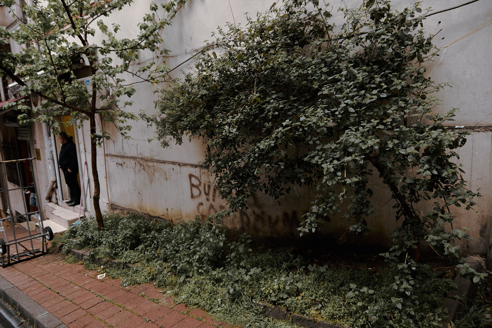 Улица горизонтальная. Jorgis — фотограф в Хургаде / обучение фотографии