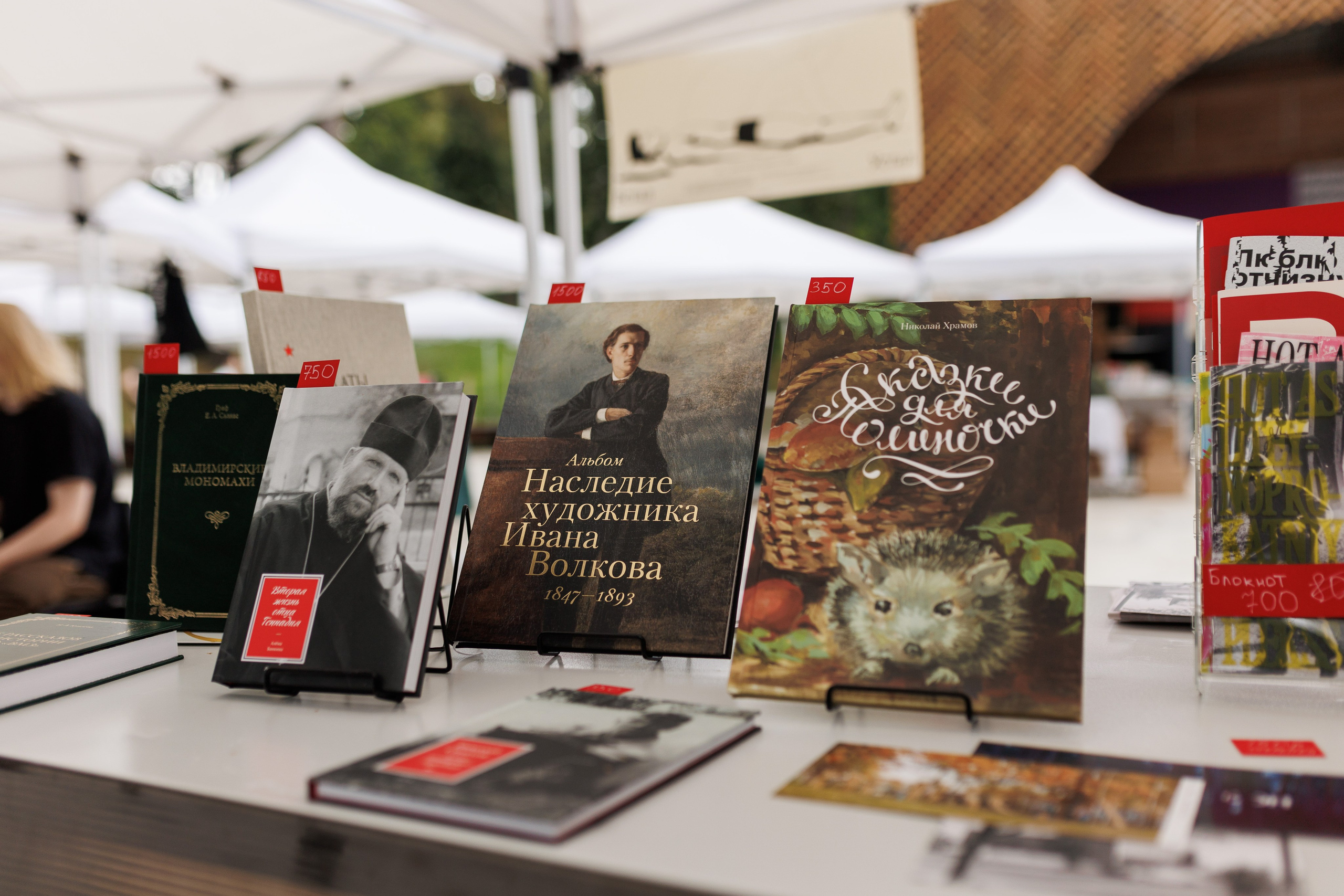 Книжный фестиваль «Смены» в Выксе 2025. Фотограф городских и семейных событий Артем Карпухин