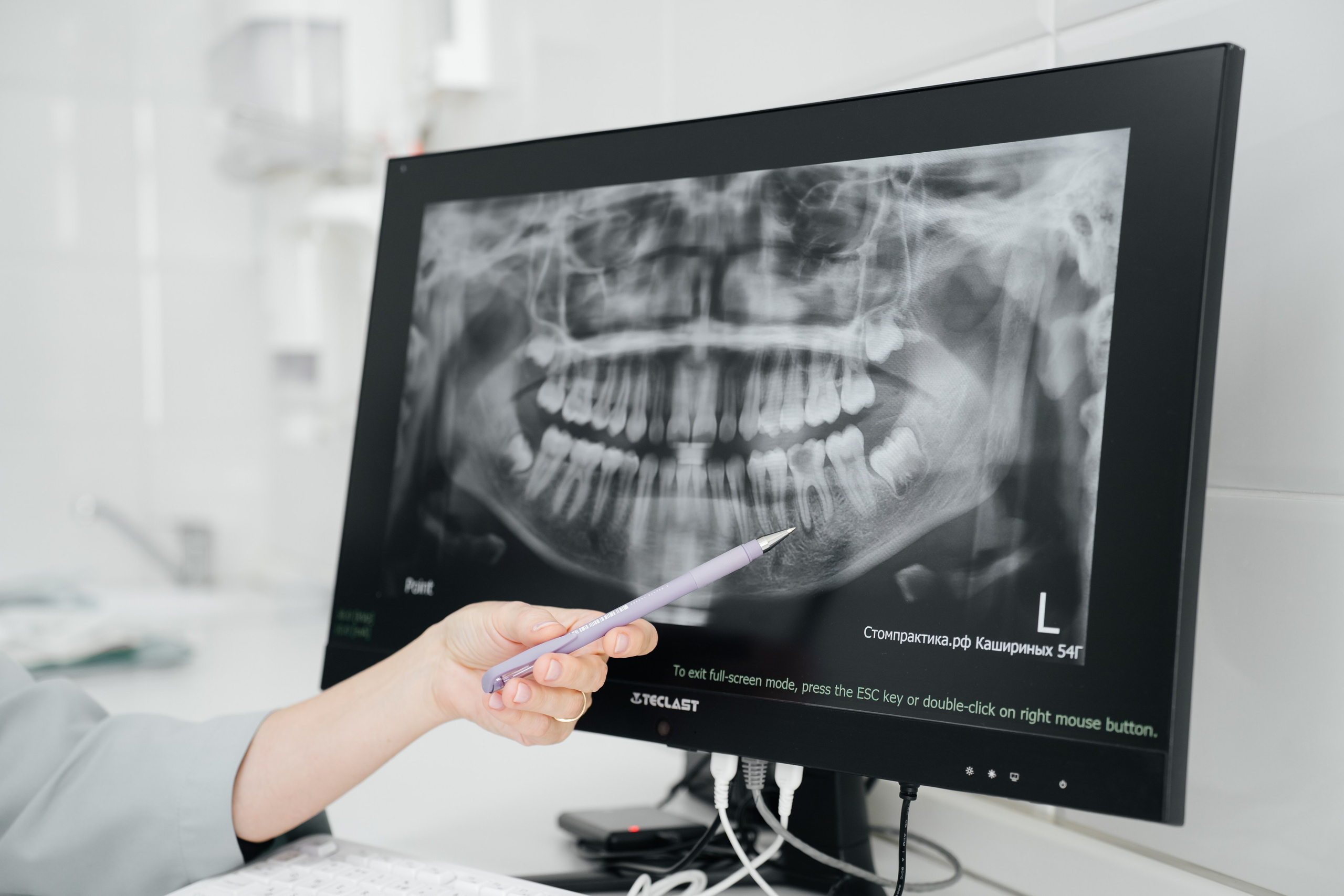 Стомпрактика РФ. Видеограф и Фотограф в Челябинске Ксения и Владимир Рюмины