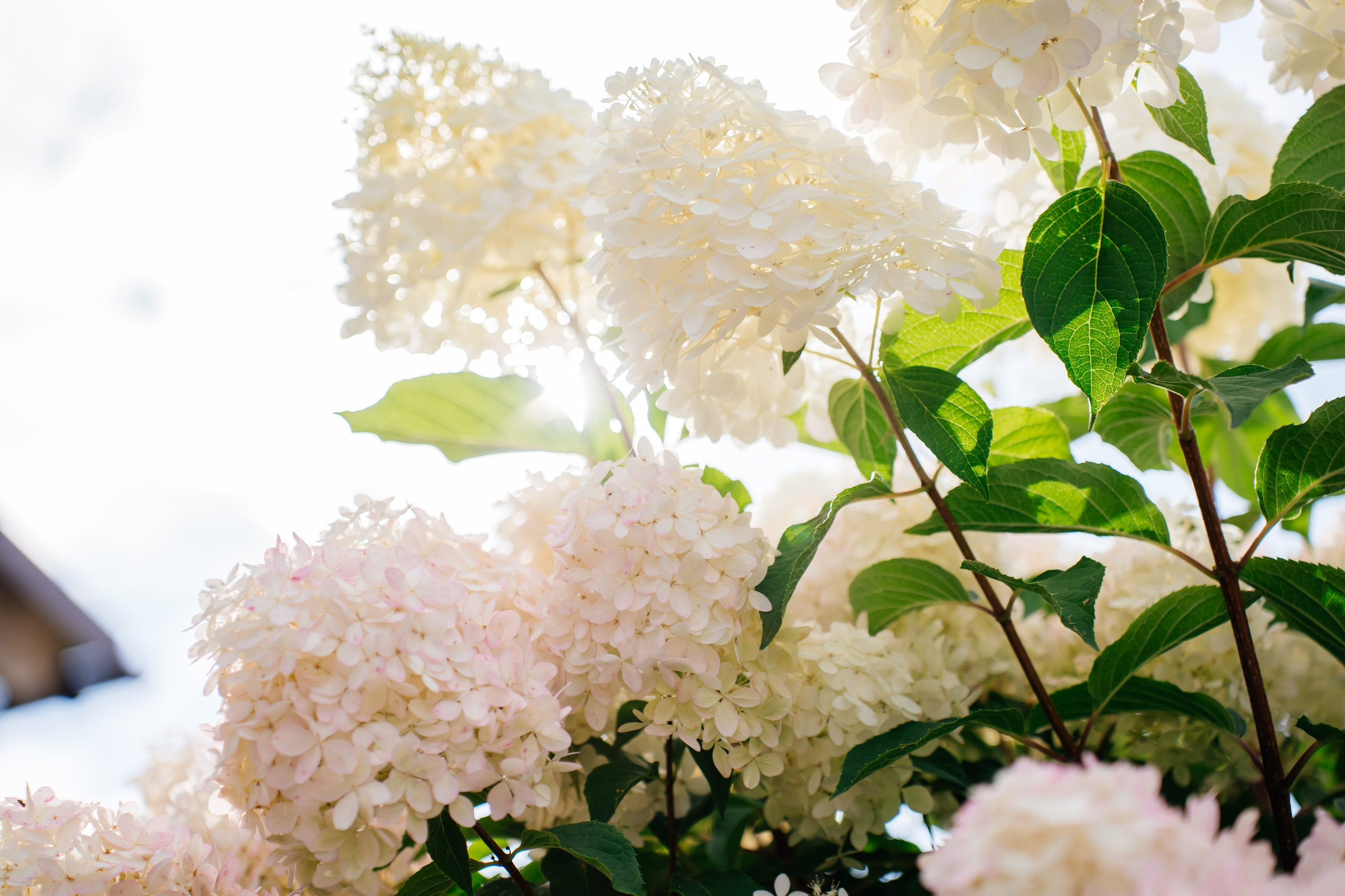 Мария и Илья. Видеограф и Фотограф в Челябинске Ксения и Владимир Рюмины