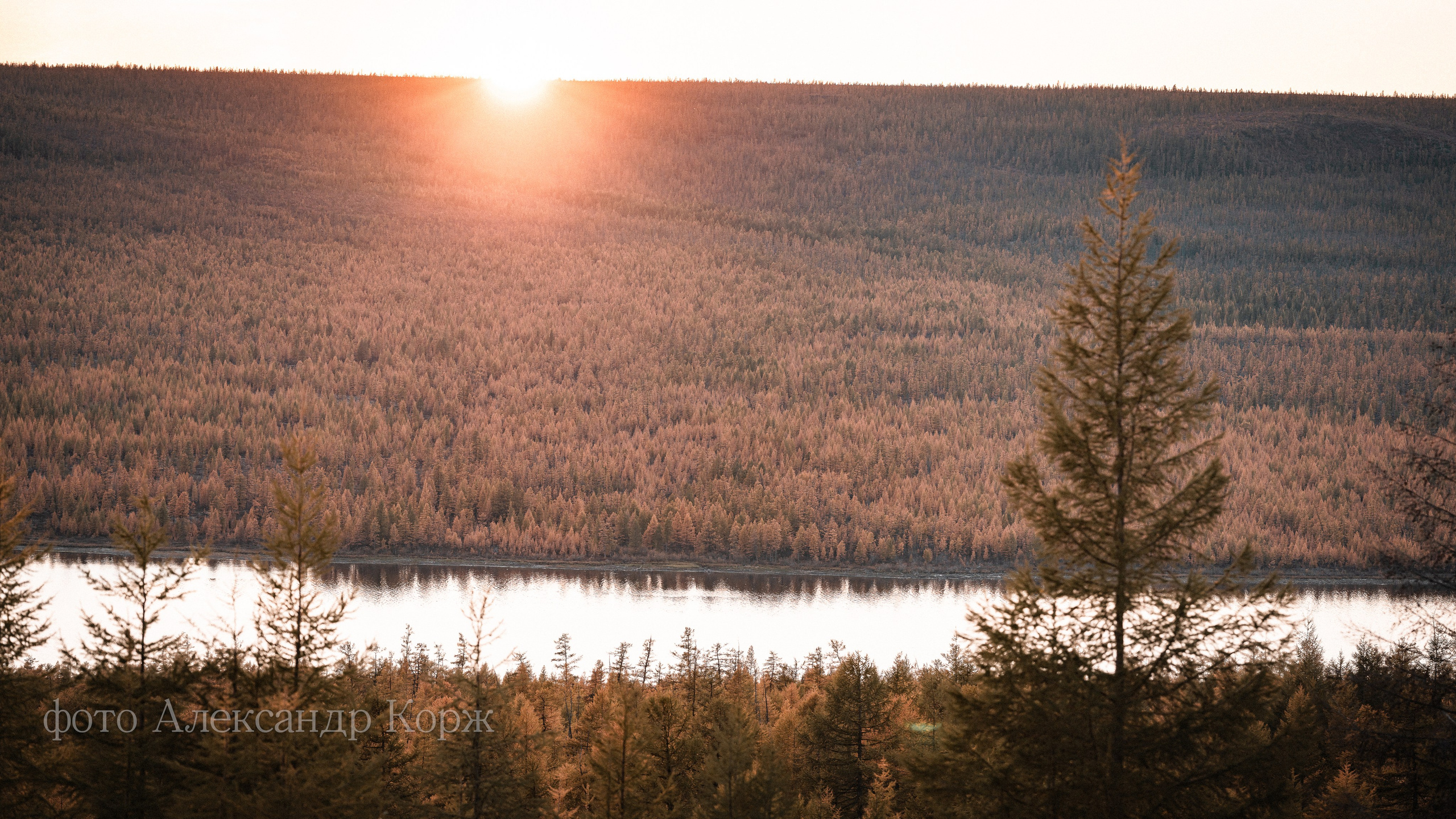 Золотая осень 2025. Айхал. Удачный. Мирный Якутия. Фотографии и видеосъемка, Айхал, Удачный, Якутия. Фотографии Айхал