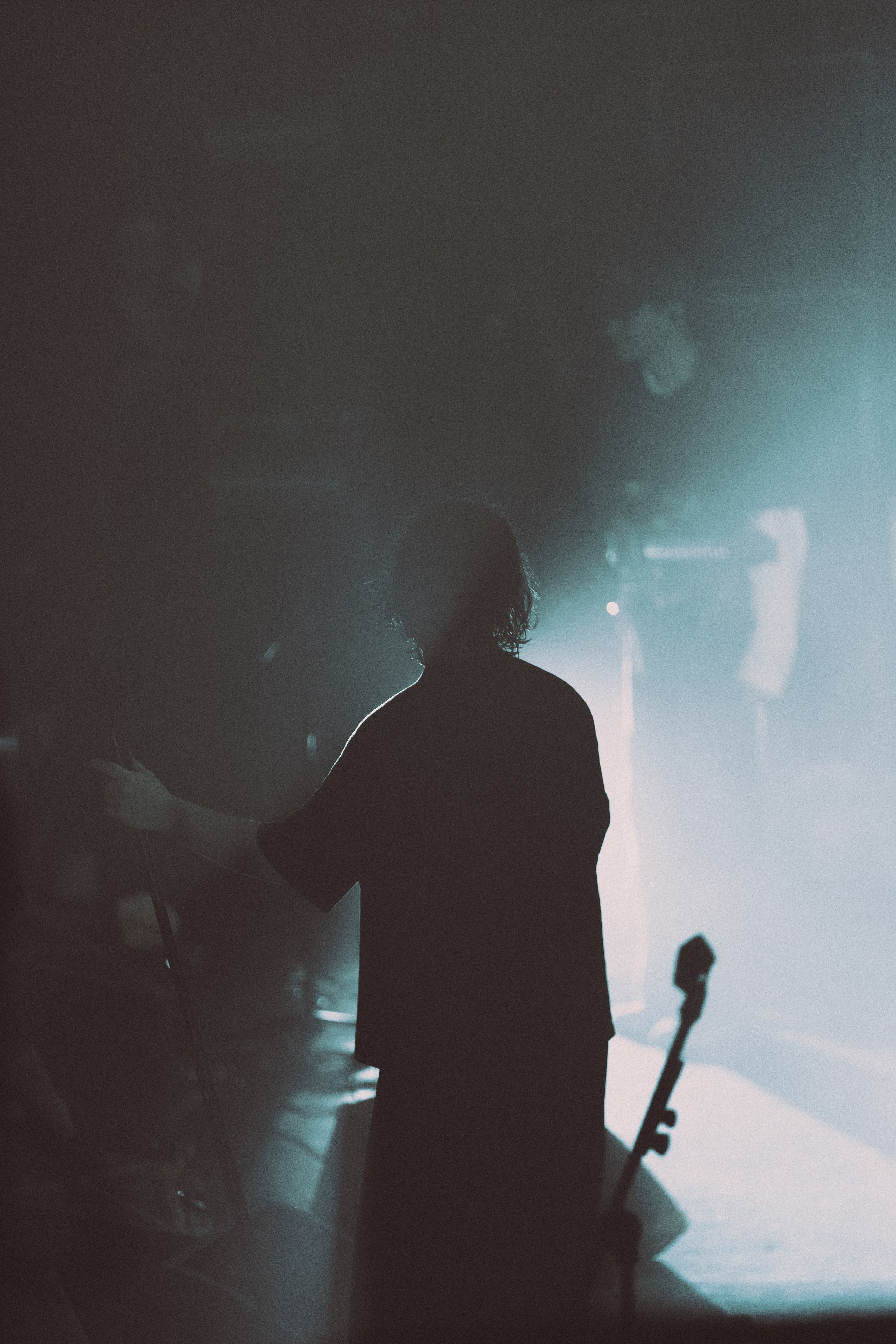 SALUKI. PASHAHARCE PHOTOGRAPHER & VIDEOGRAPHER