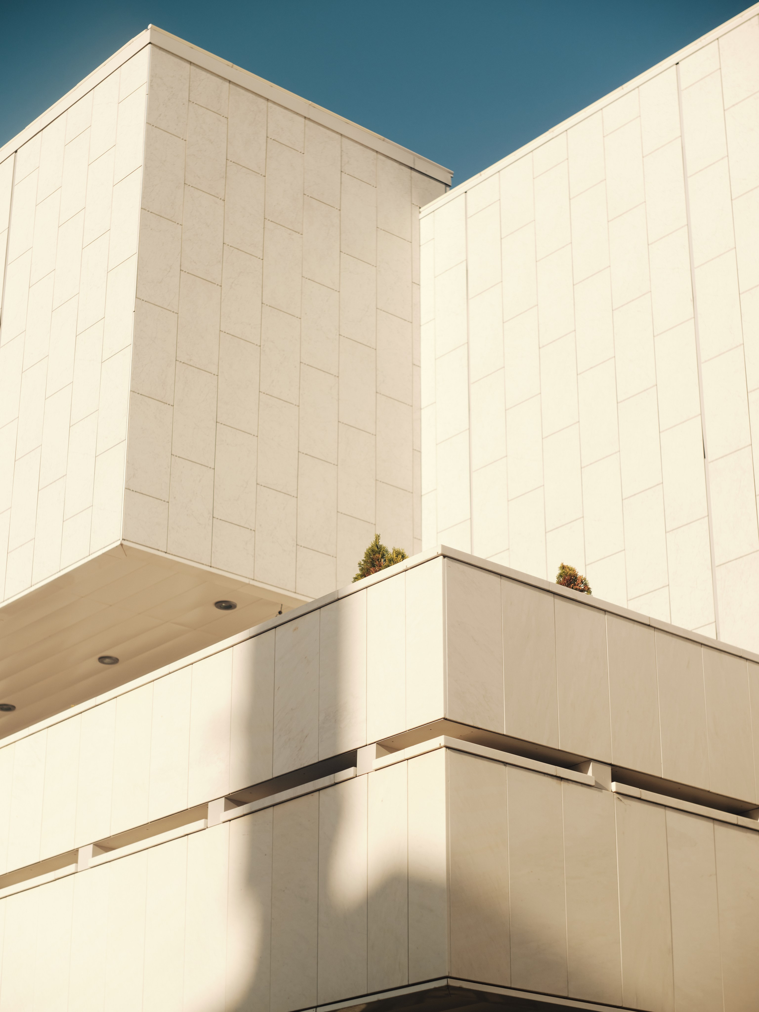 Street. Свадебный фотограф в Ростове-на-Дону Владимир Пешков