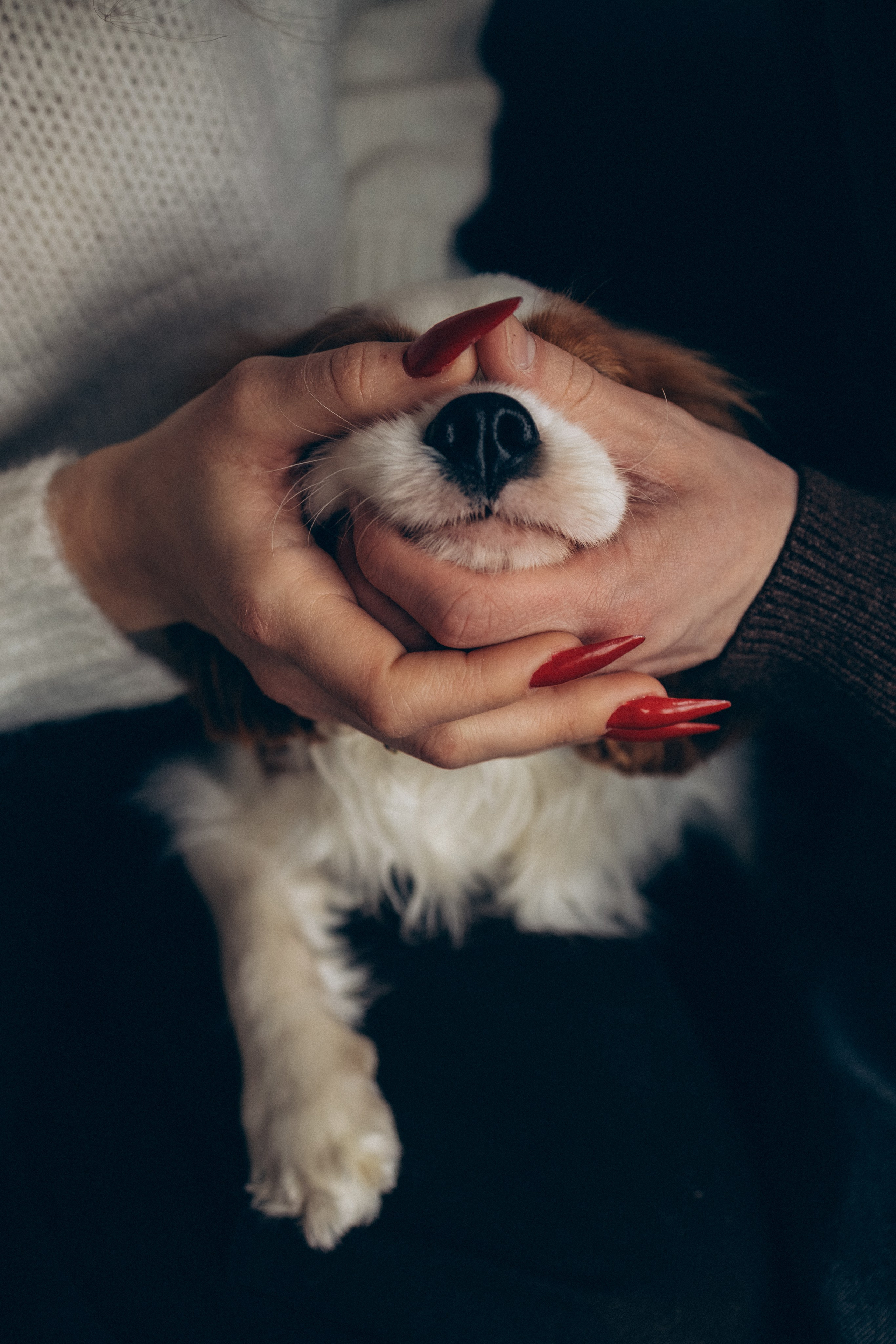 Анастасия, Артём и Стеша. Фотограф Тула Полина Терешонкова