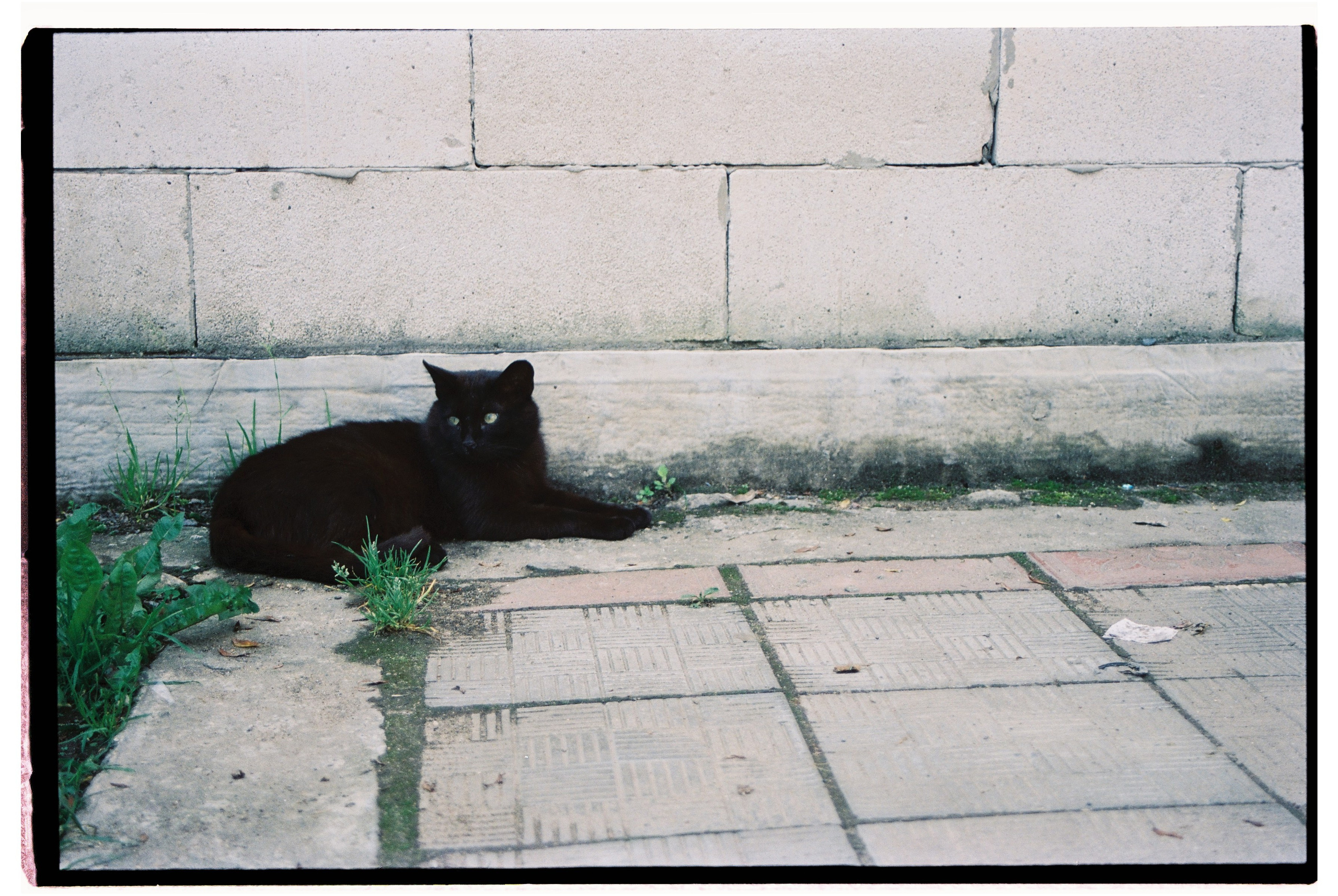 Стрит. Фотограф Соня с Земли