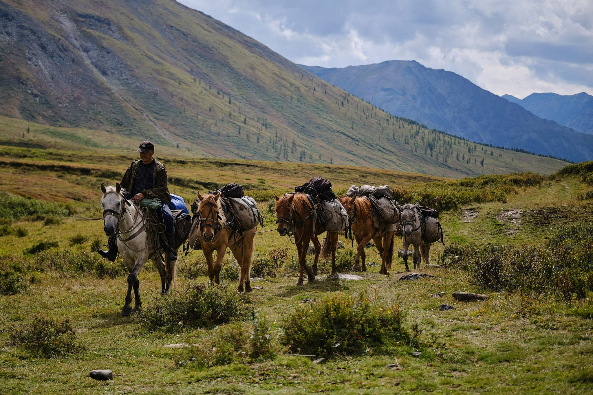 Путешествия/Живопись. Организация фото/видео съемки, Москва