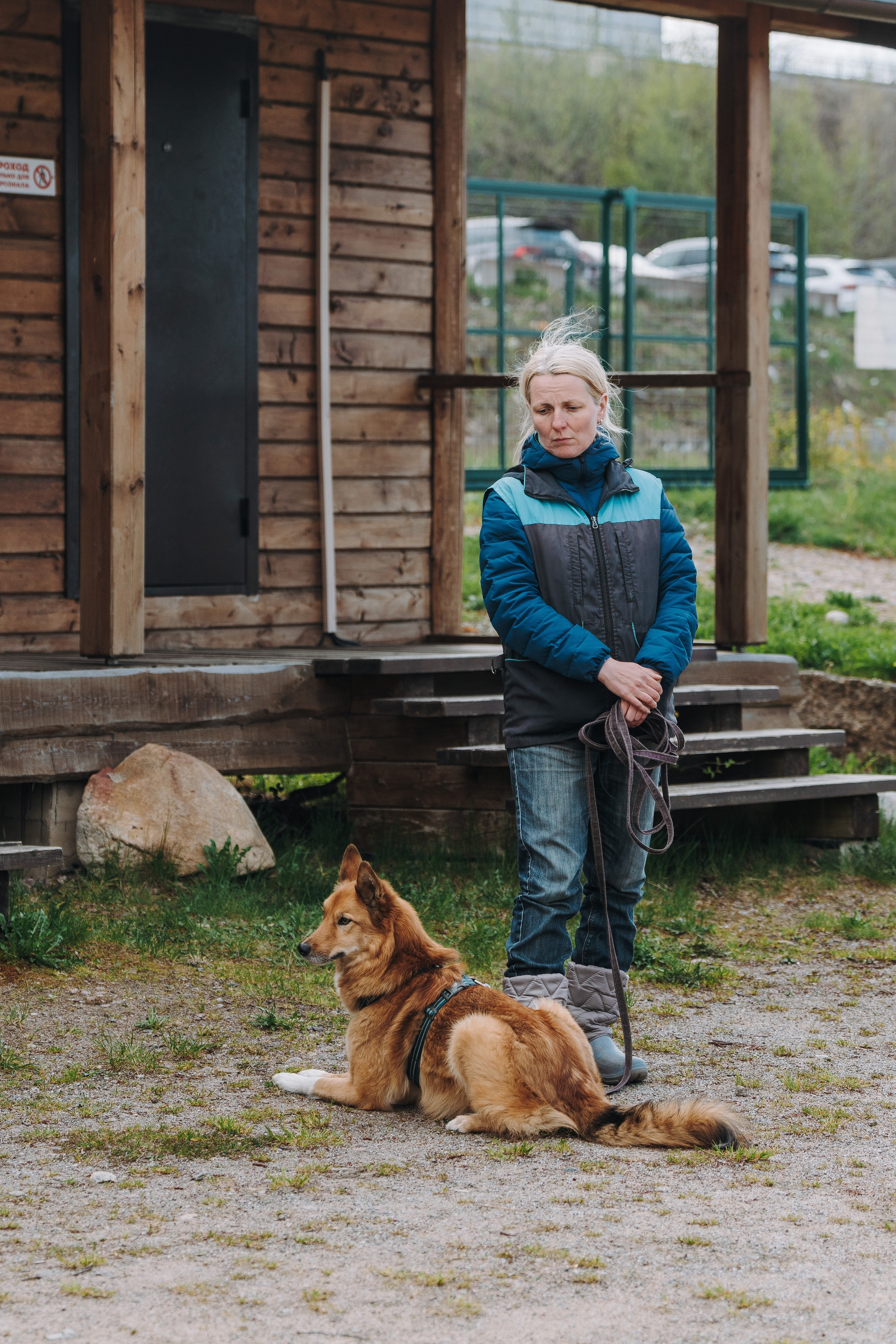 Соревнования по ноузворку в Лосево. Фотограф анималист в Спб недорого Олеся Майорова