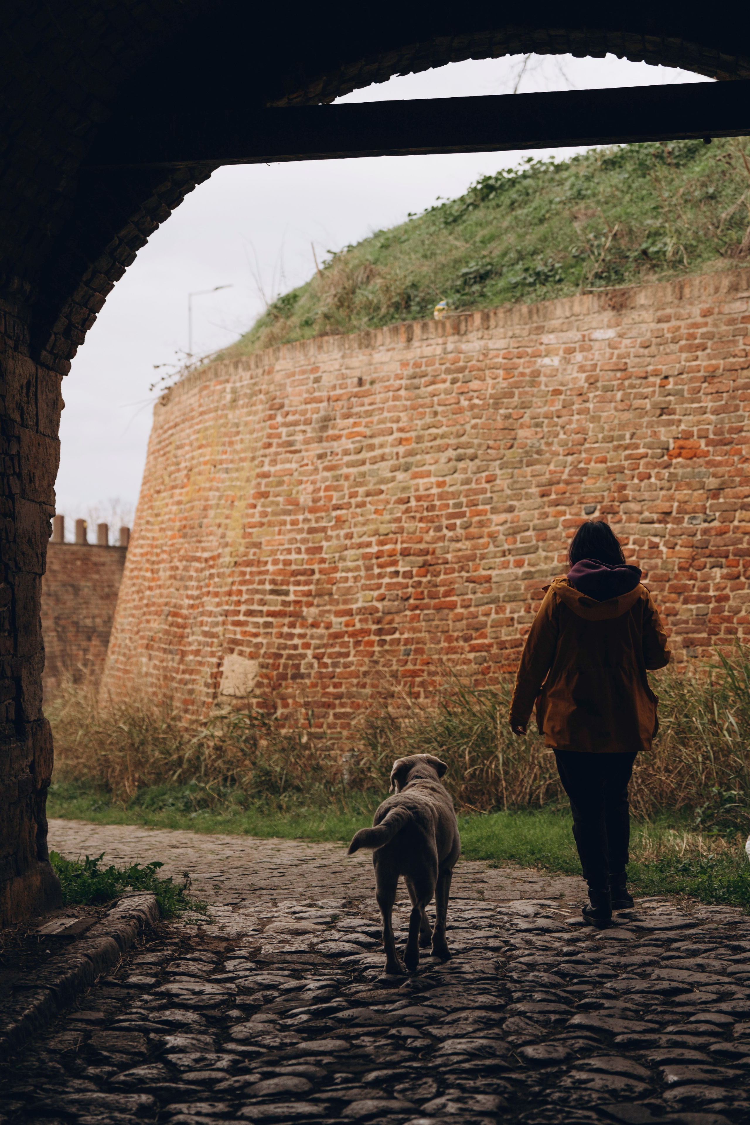 Вати, Лена и Леван. Фотограф анималист в Спб недорого Олеся Майорова