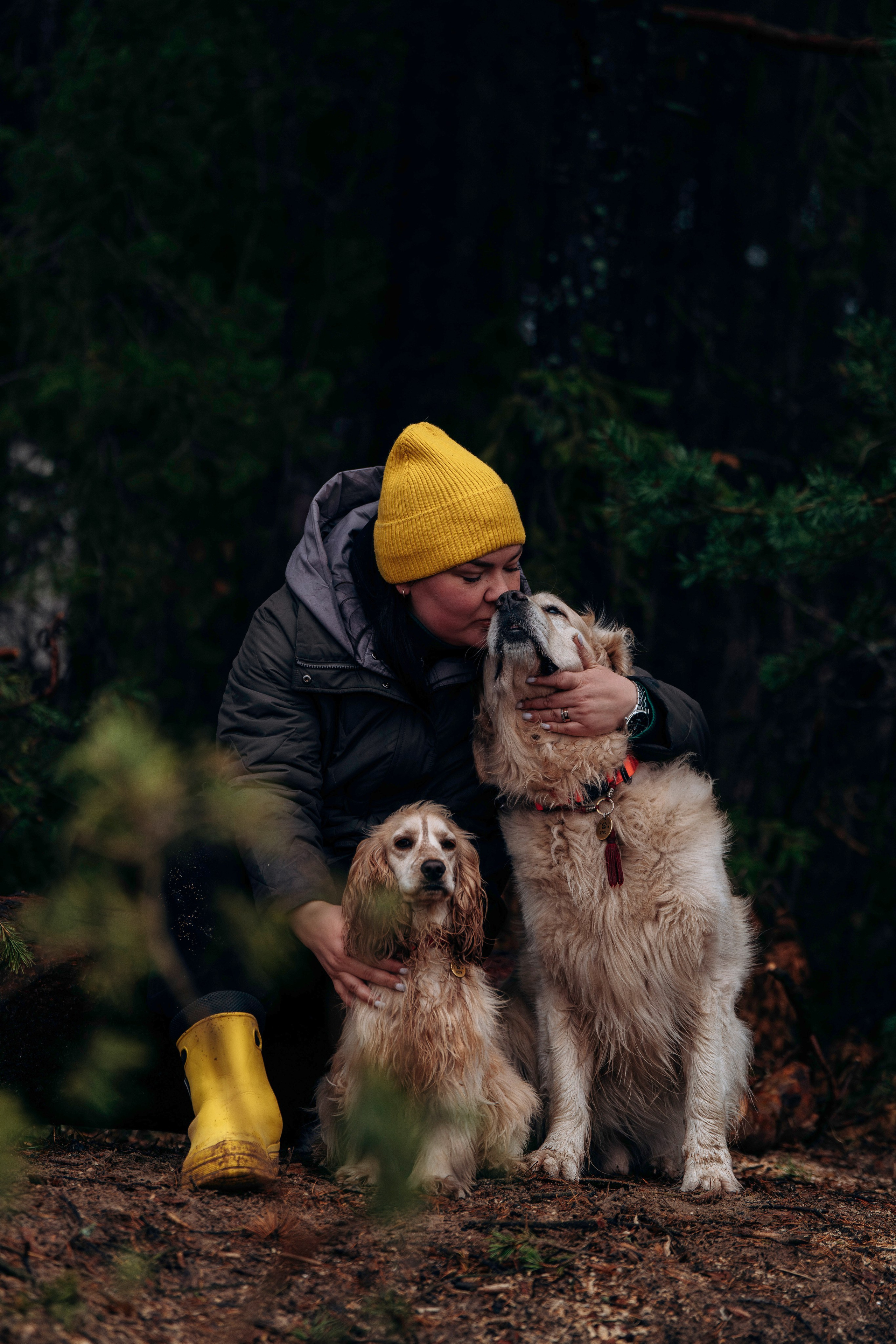 Асти, Крис и Александра. Фотограф анималист в Спб недорого Олеся Майорова