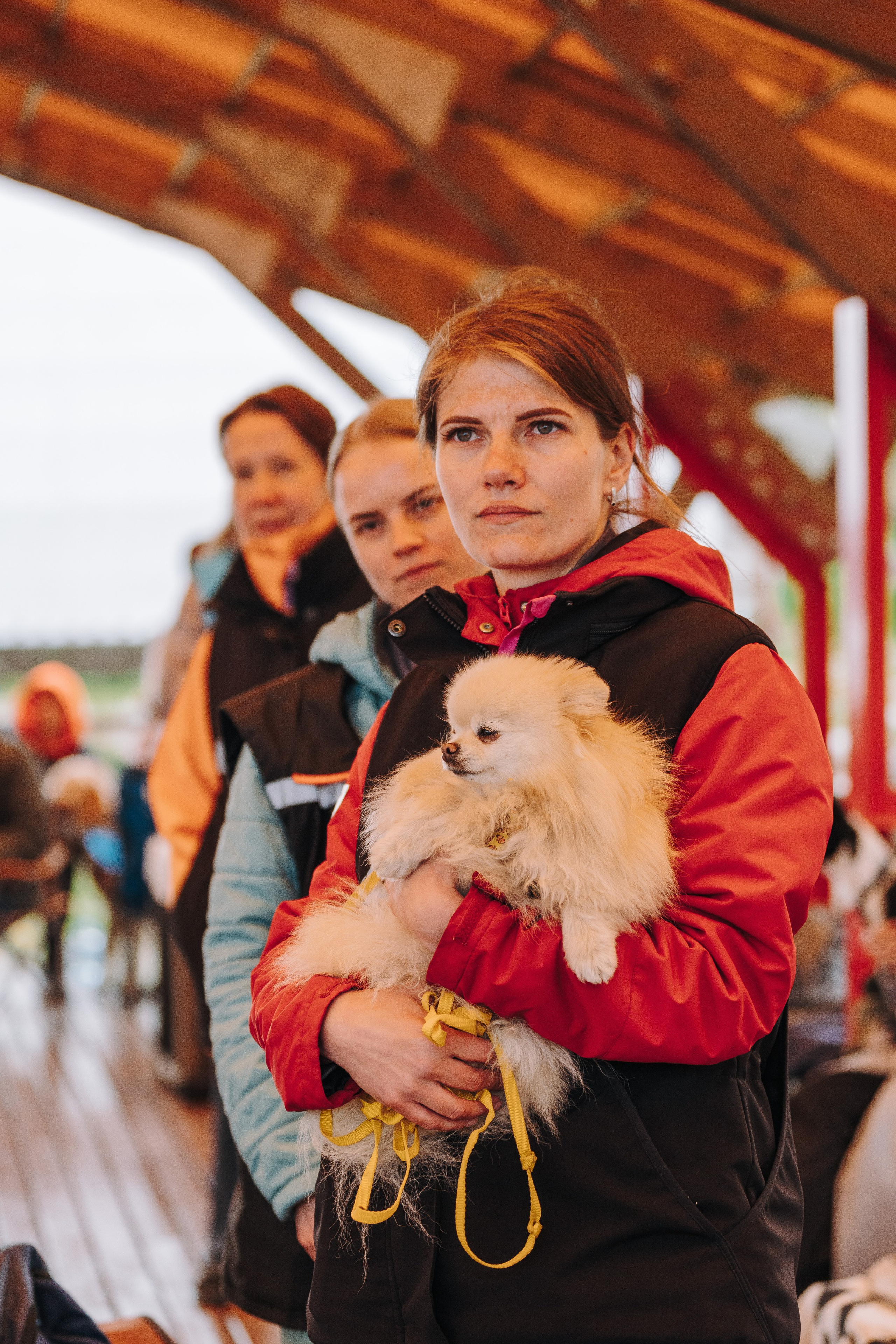 Соревнования по ноузворку в Лосево. Фотограф анималист в Спб недорого Олеся Майорова