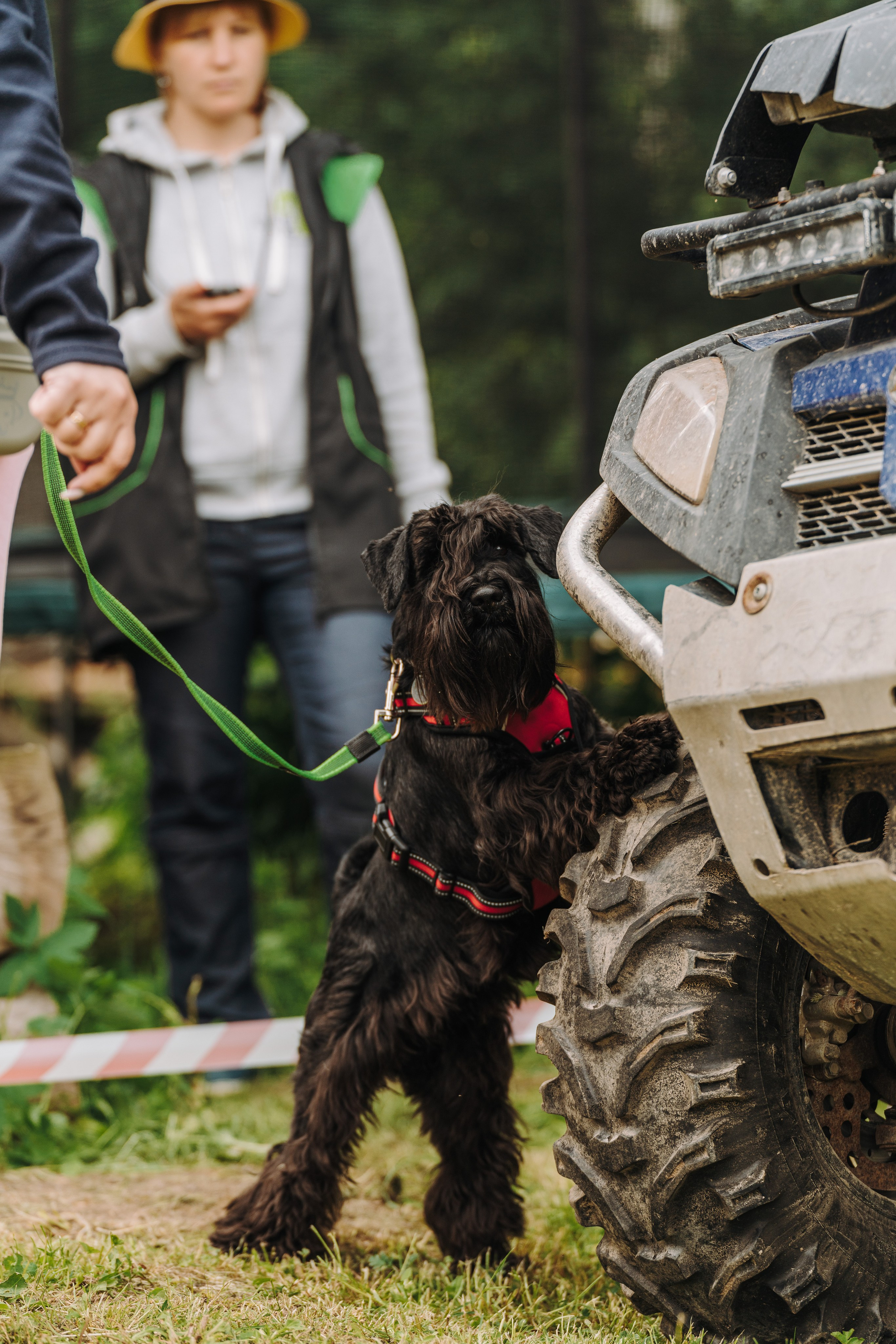 Соревнования по ноузворку. Фотограф анималист в Спб недорого Олеся Майорова