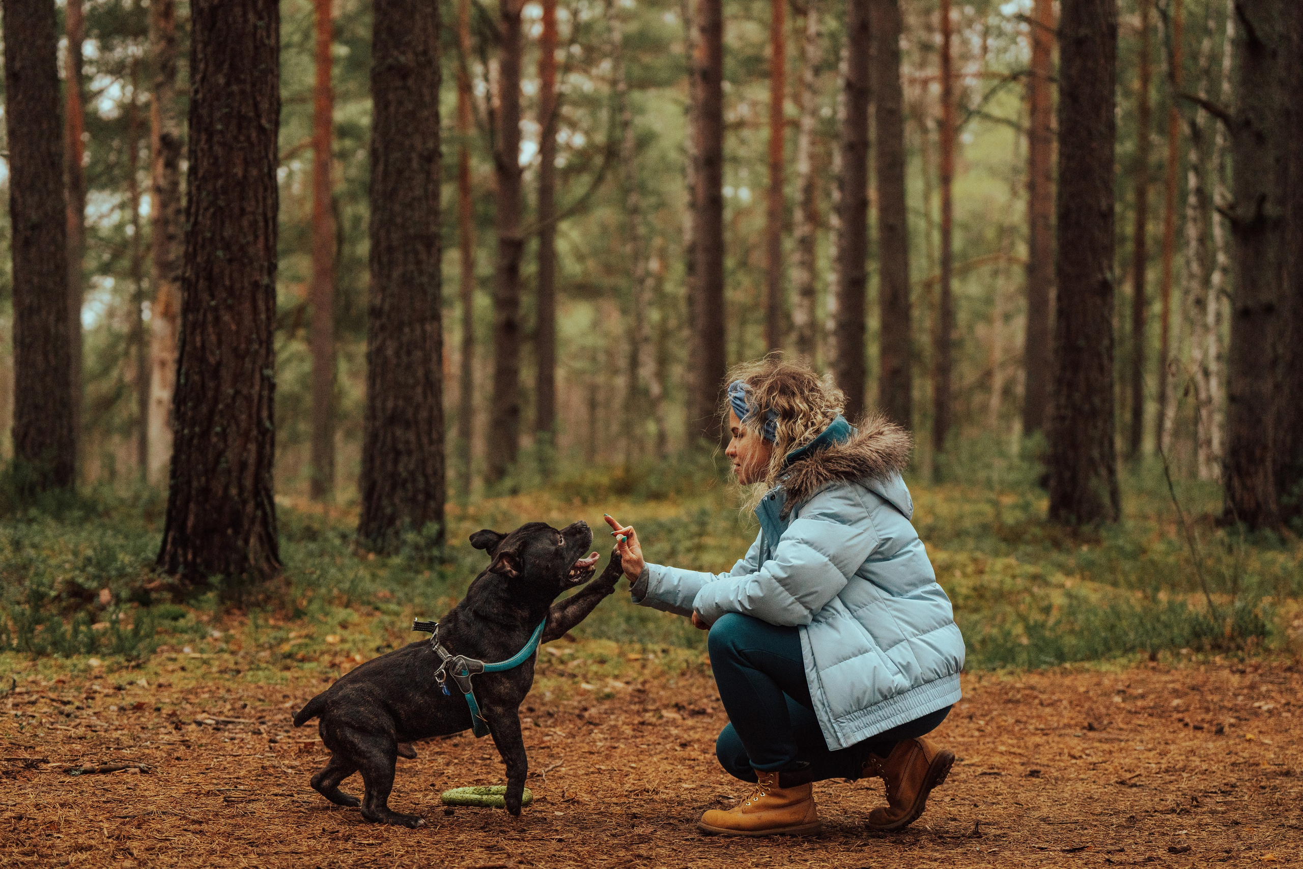Фотограф анималист в Санкт-Петербурге. Фотограф анималист в Спб недорого Олеся Майорова