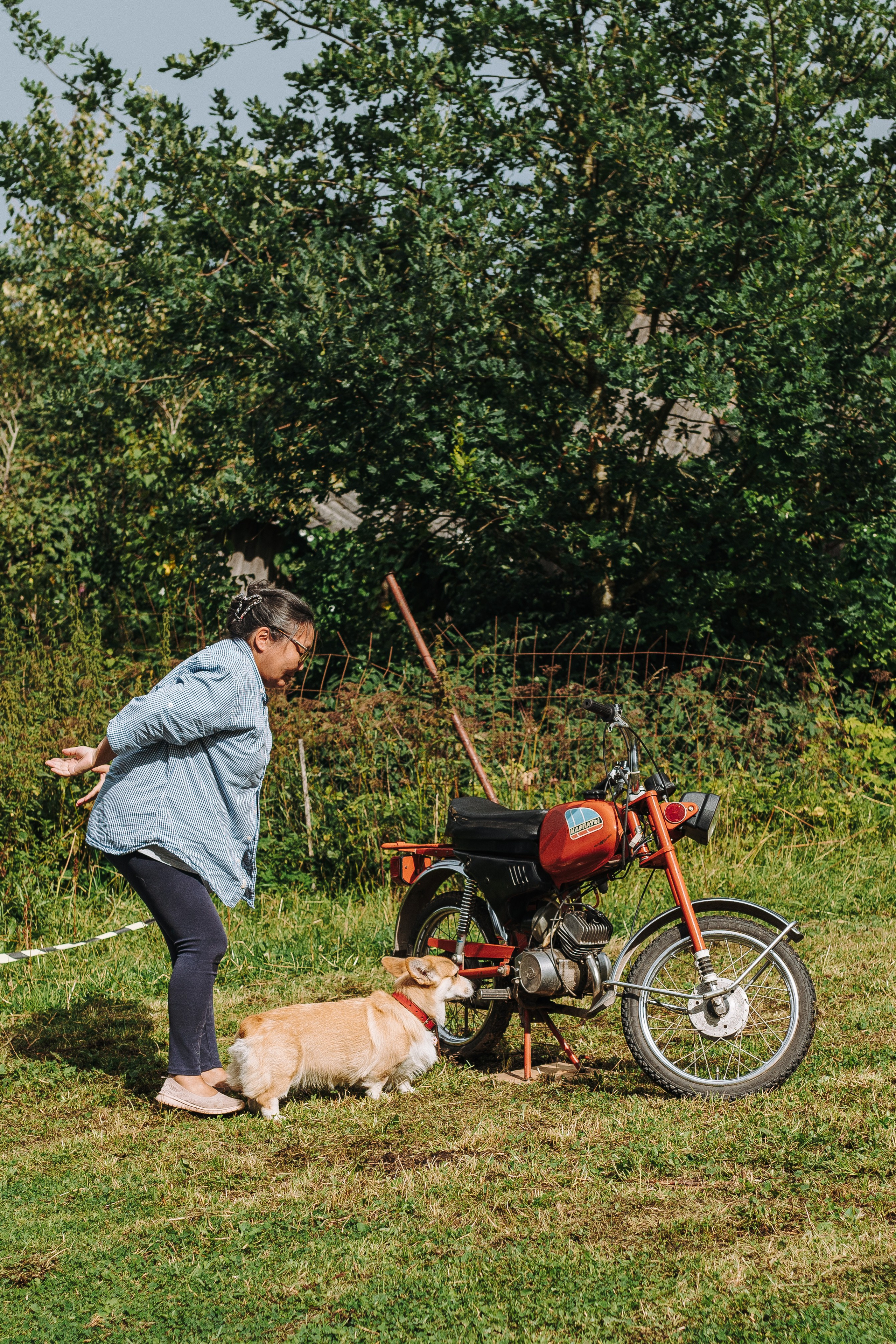 Соревнования по ноузворку в Новожилово. Фотограф анималист в Спб недорого Олеся Майорова