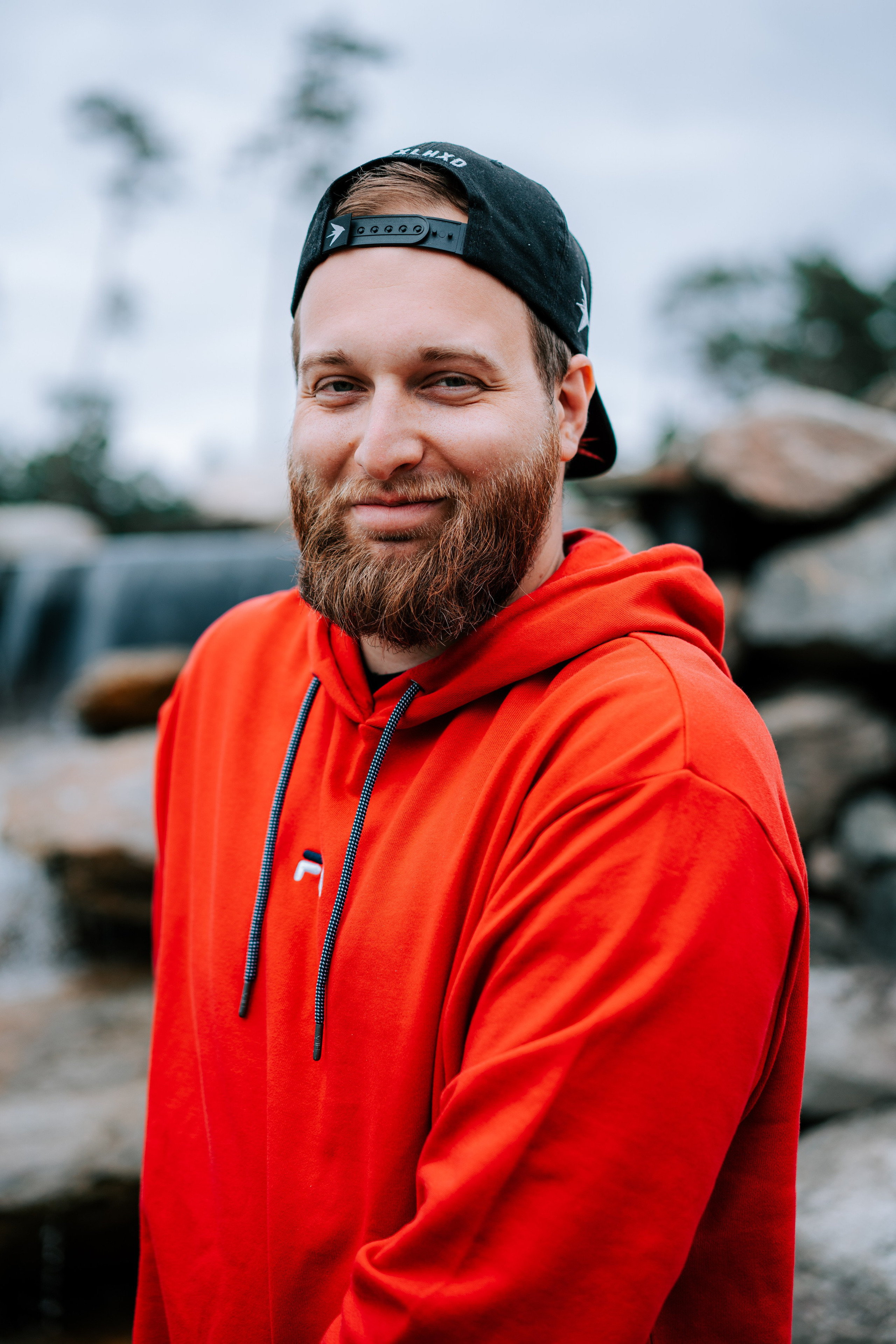 The fabulous forest of Malevich