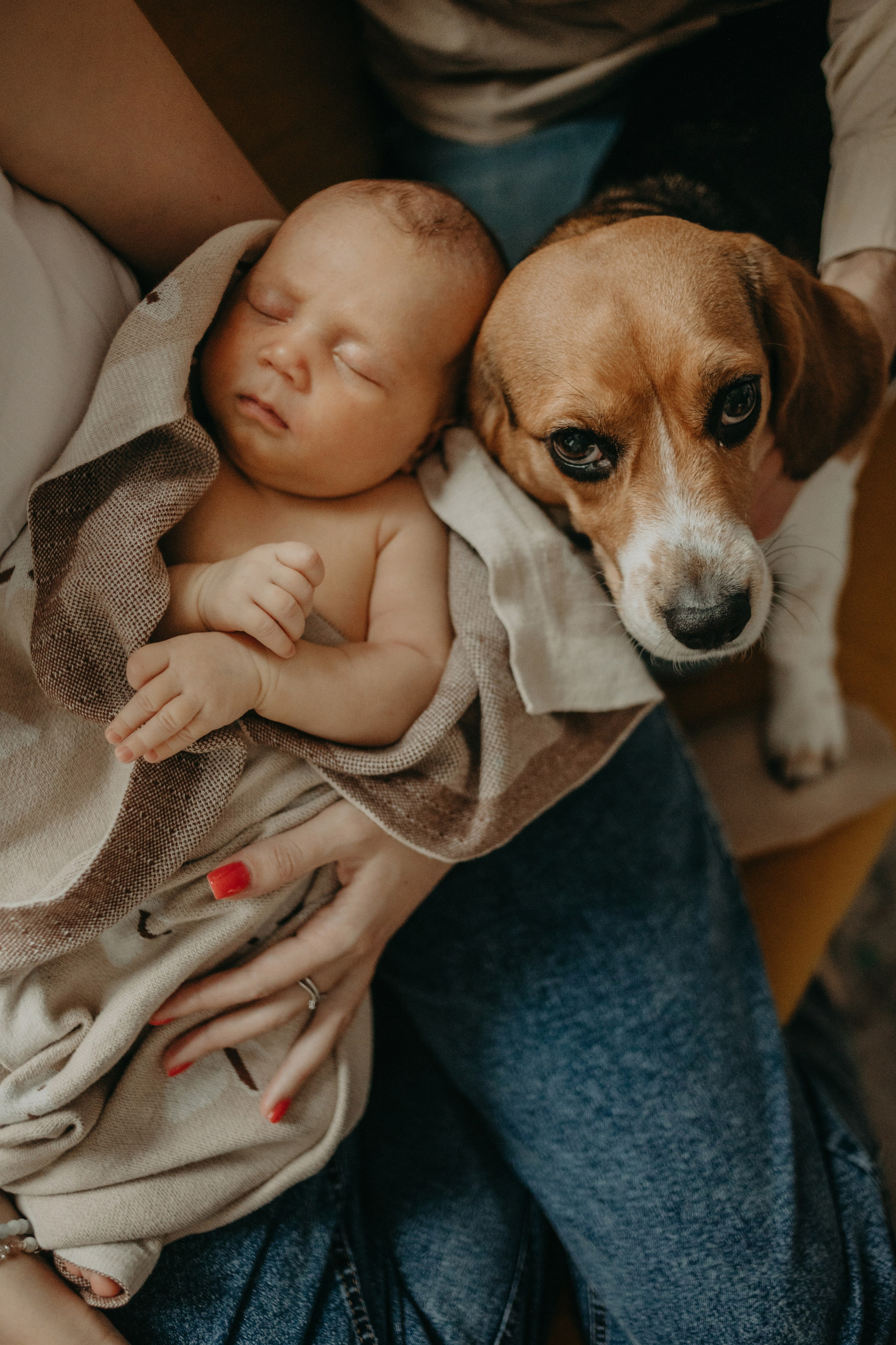 Домашнее счастье. Фотограф в Краснодаре Евгения Михаевич