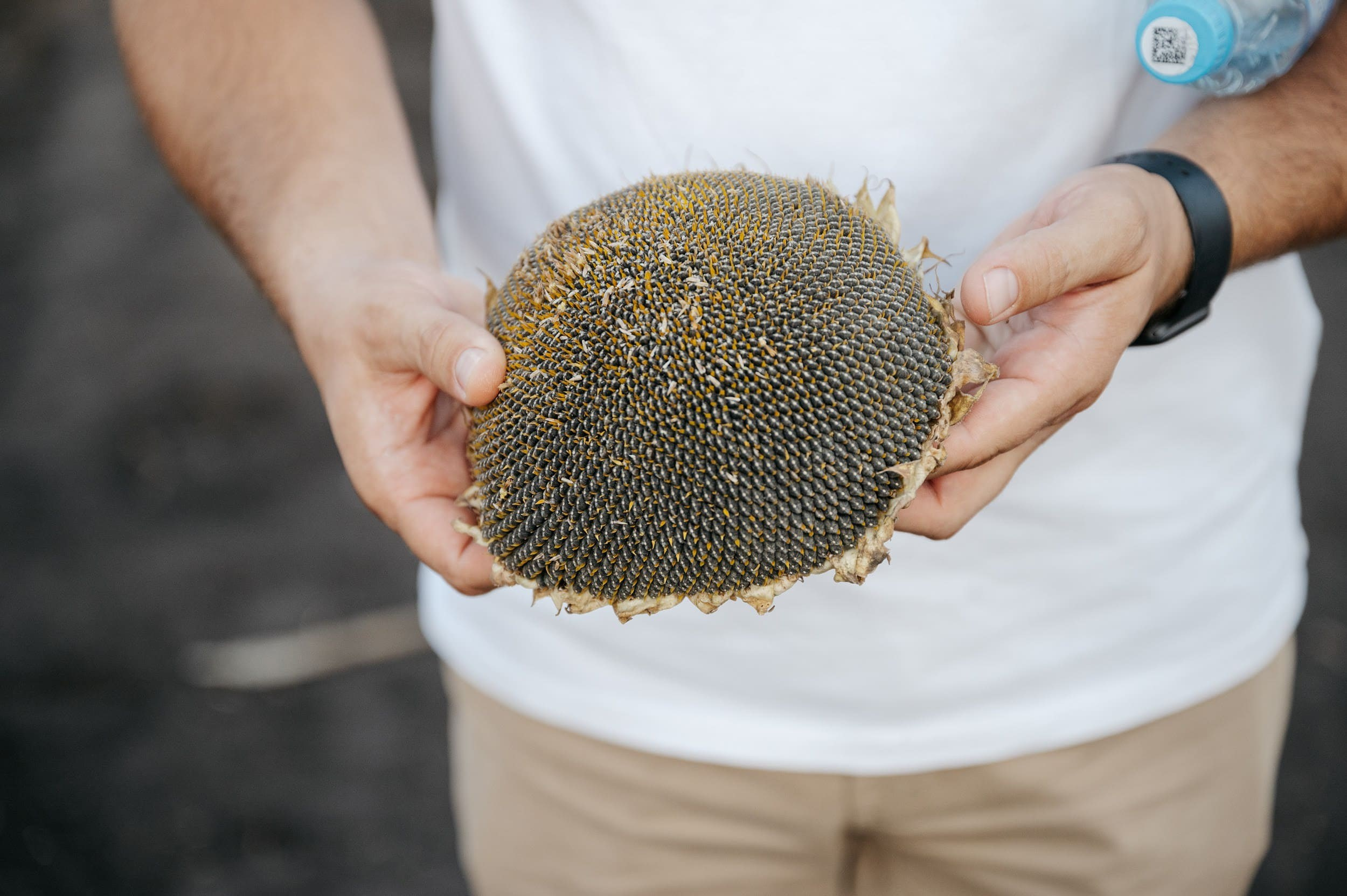 LIDEA. Владимир Дьяконов — Индустриальный и репортажной фотограф в России