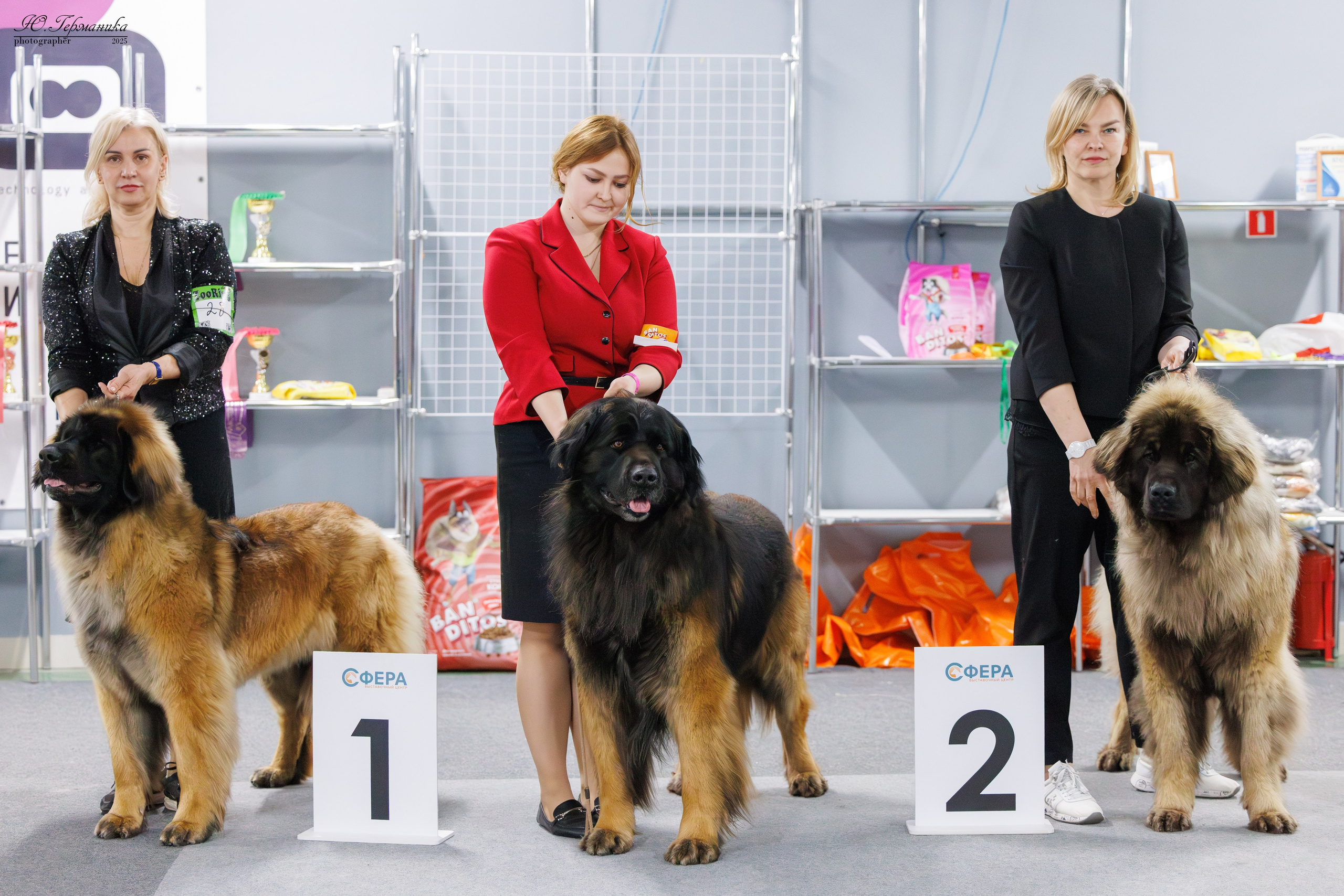 Тверь 12.04,Сфера 13.04,Сергиев Посад 19.04.2025. Фотограф-анималист Юлия Германика