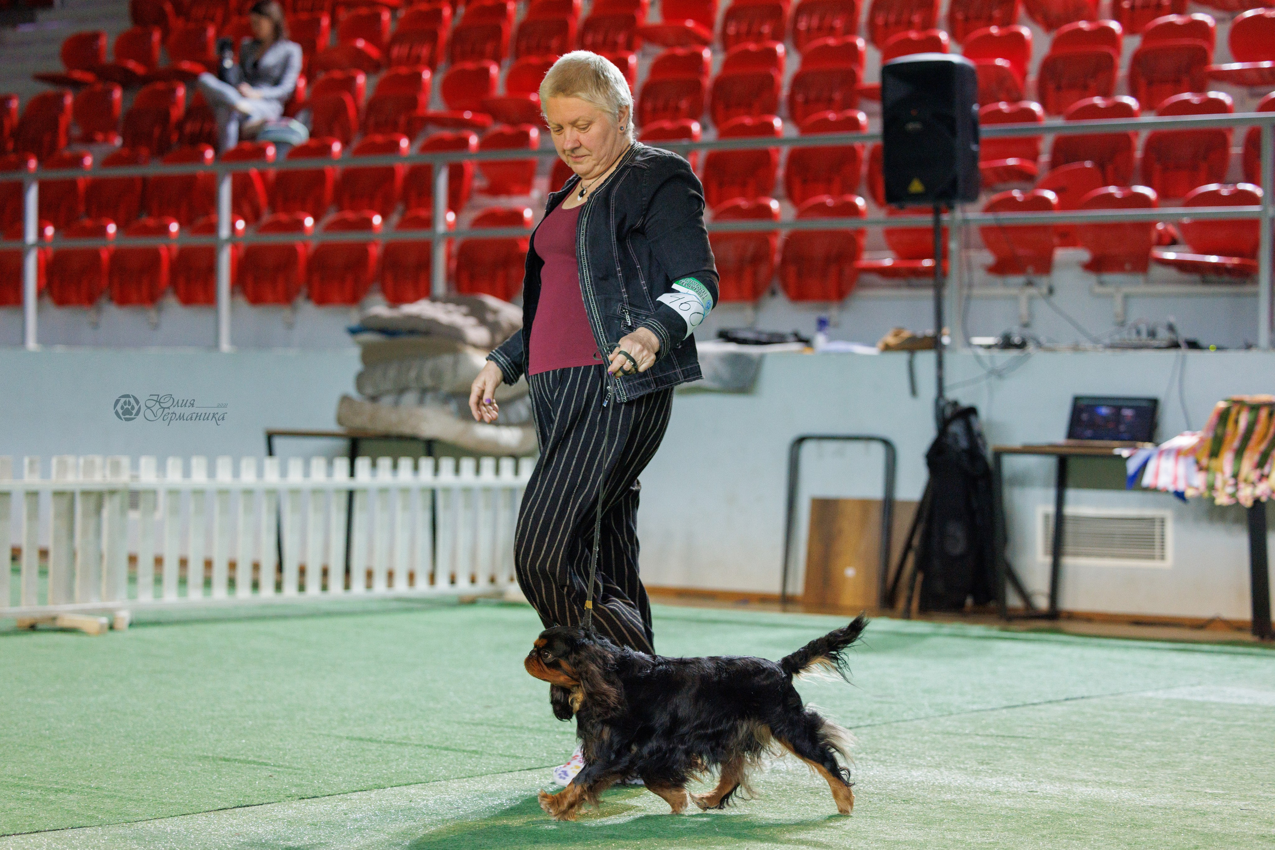 Грузия,Телави 2хCACIB 19-20.10.2024. Фотограф-анималист Юлия Германика