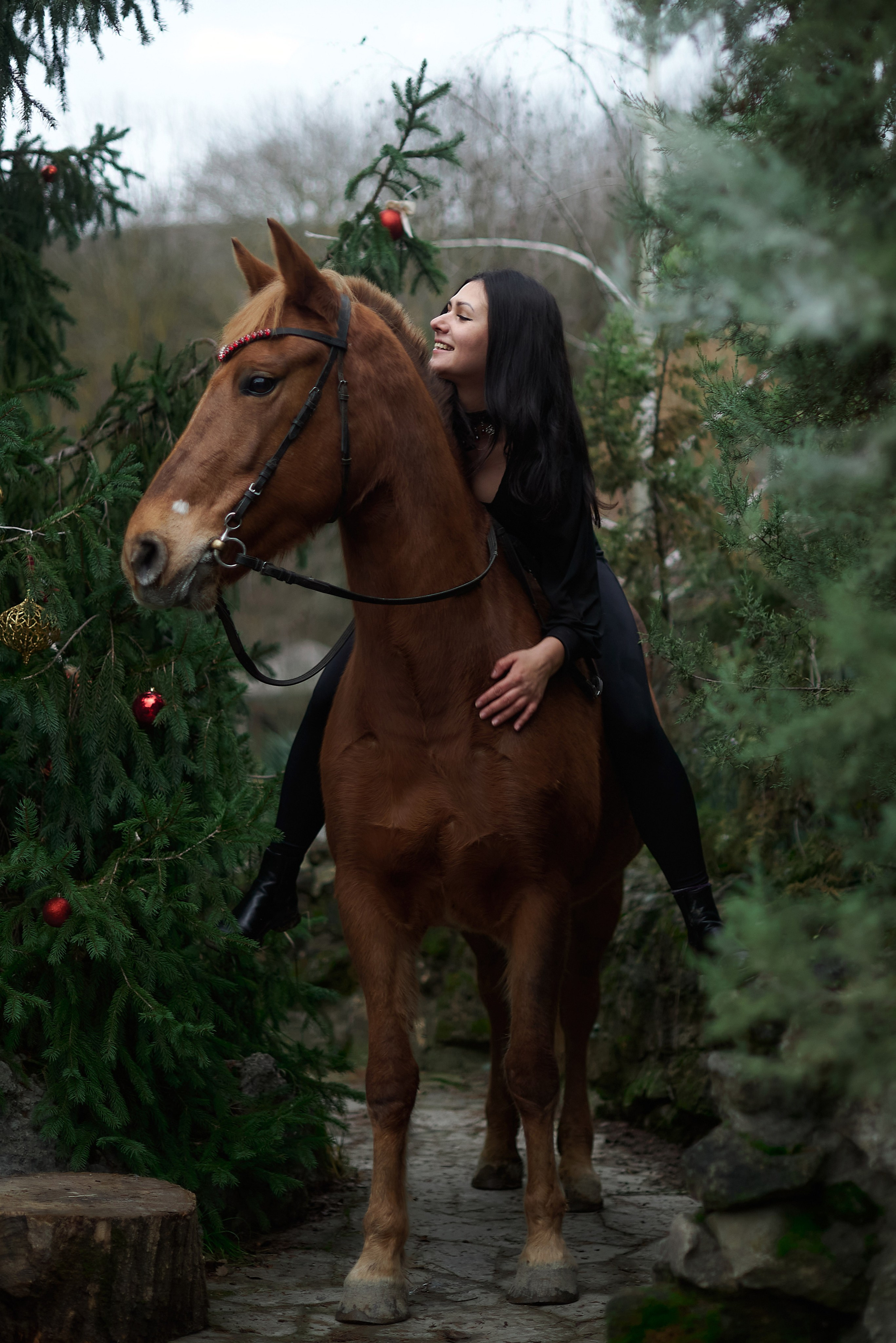 Диана, Гром и Мандаринка. Фотограф в Севастополе