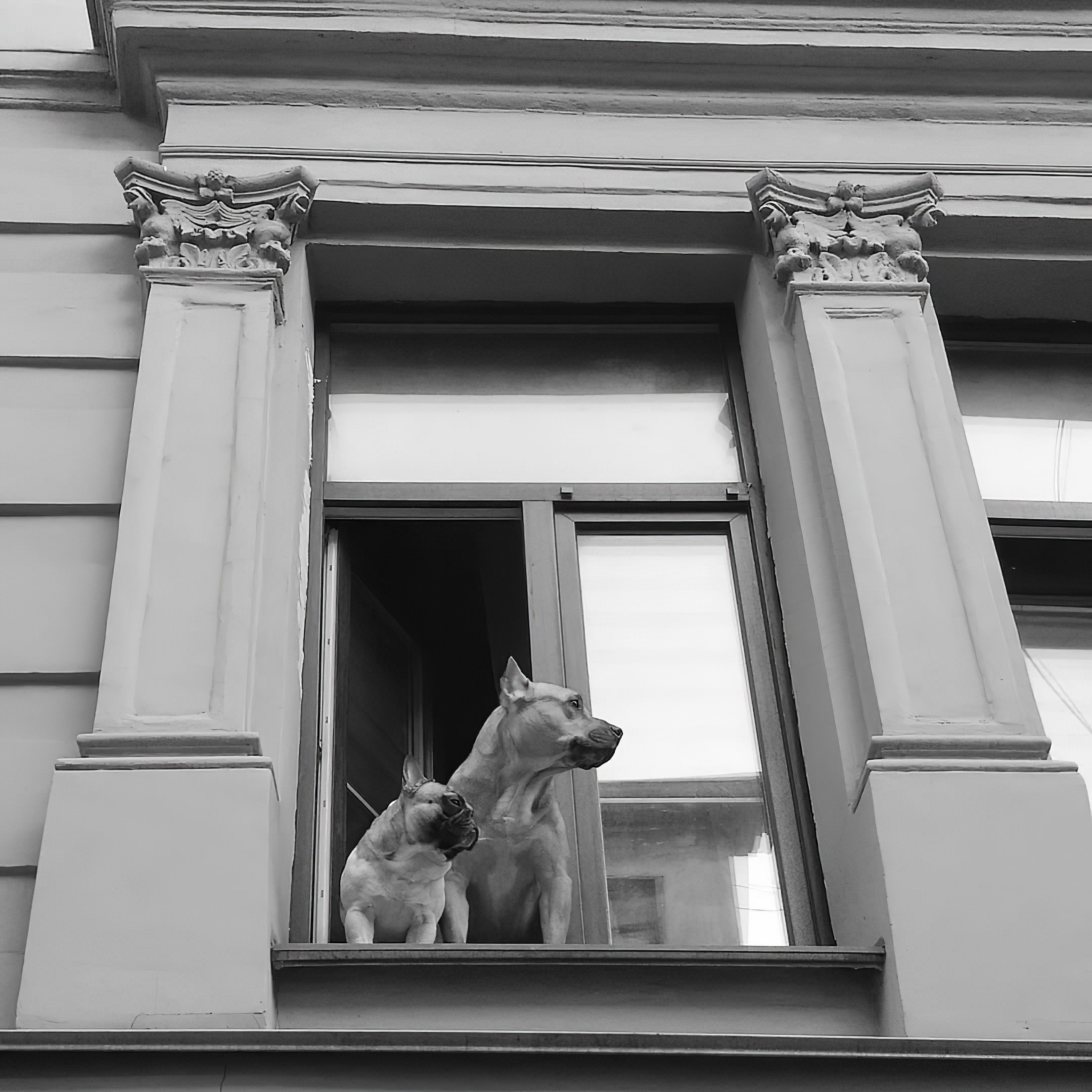 Мобильное. Дмитрий Ратихин. Видеограф и фотограф в Санкт-Петербурге и Москве