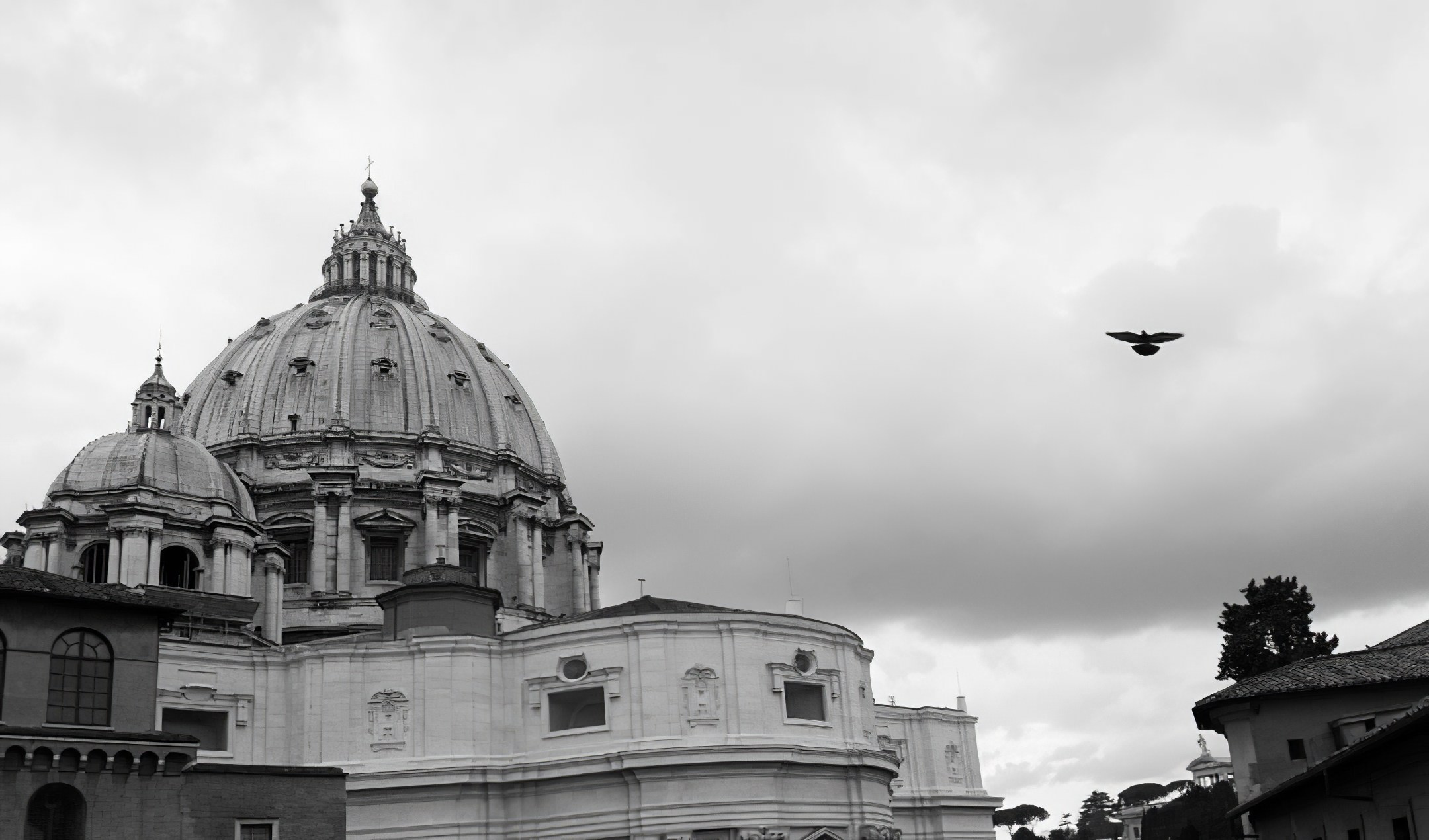Мобильное. Дмитрий Ратихин. Видеограф и фотограф в Санкт-Петербурге и Москве