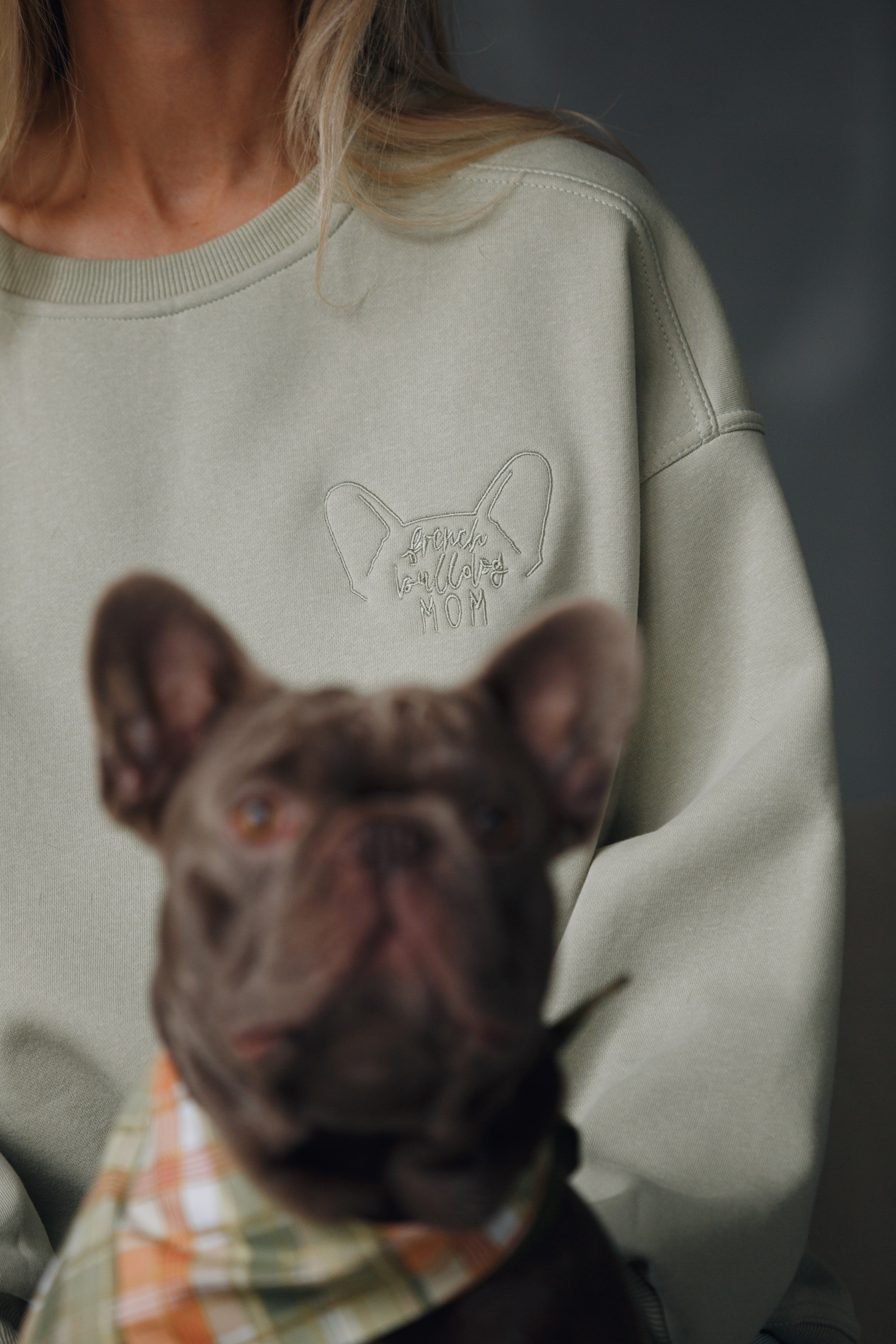 Wag'n'tails аксессуары для животных. Фотограф анималист Кристина Карпова, Москва