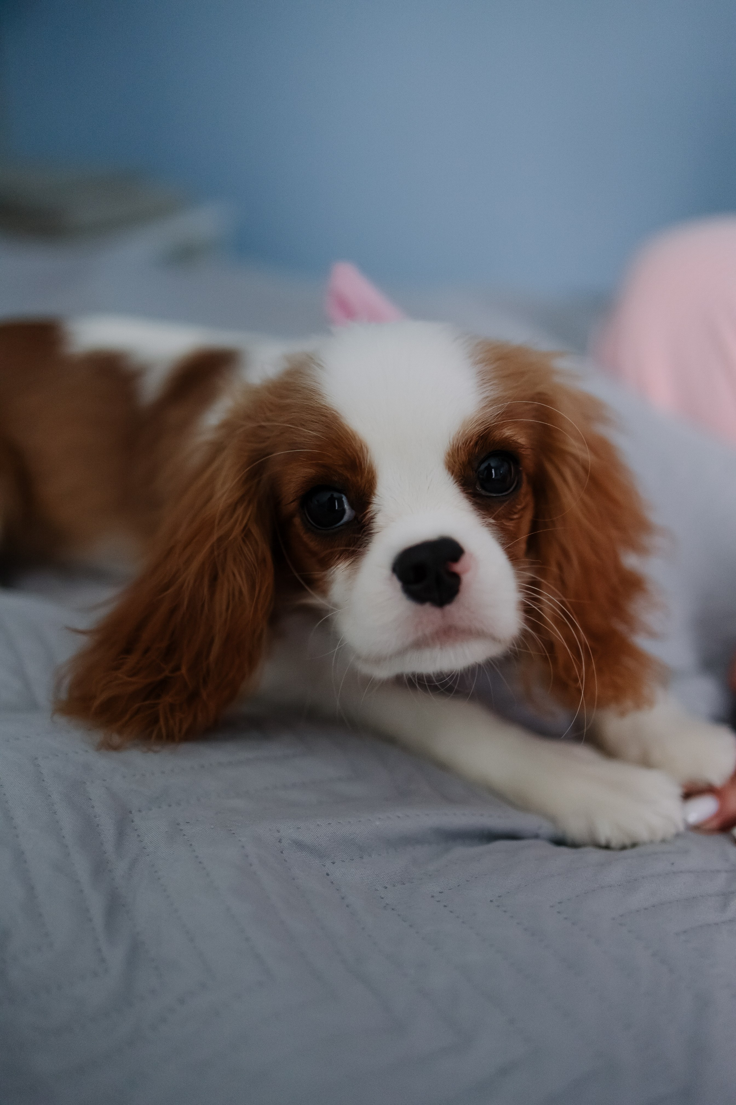Хочу надеть купальник (Николаево). Свадебный фотограф