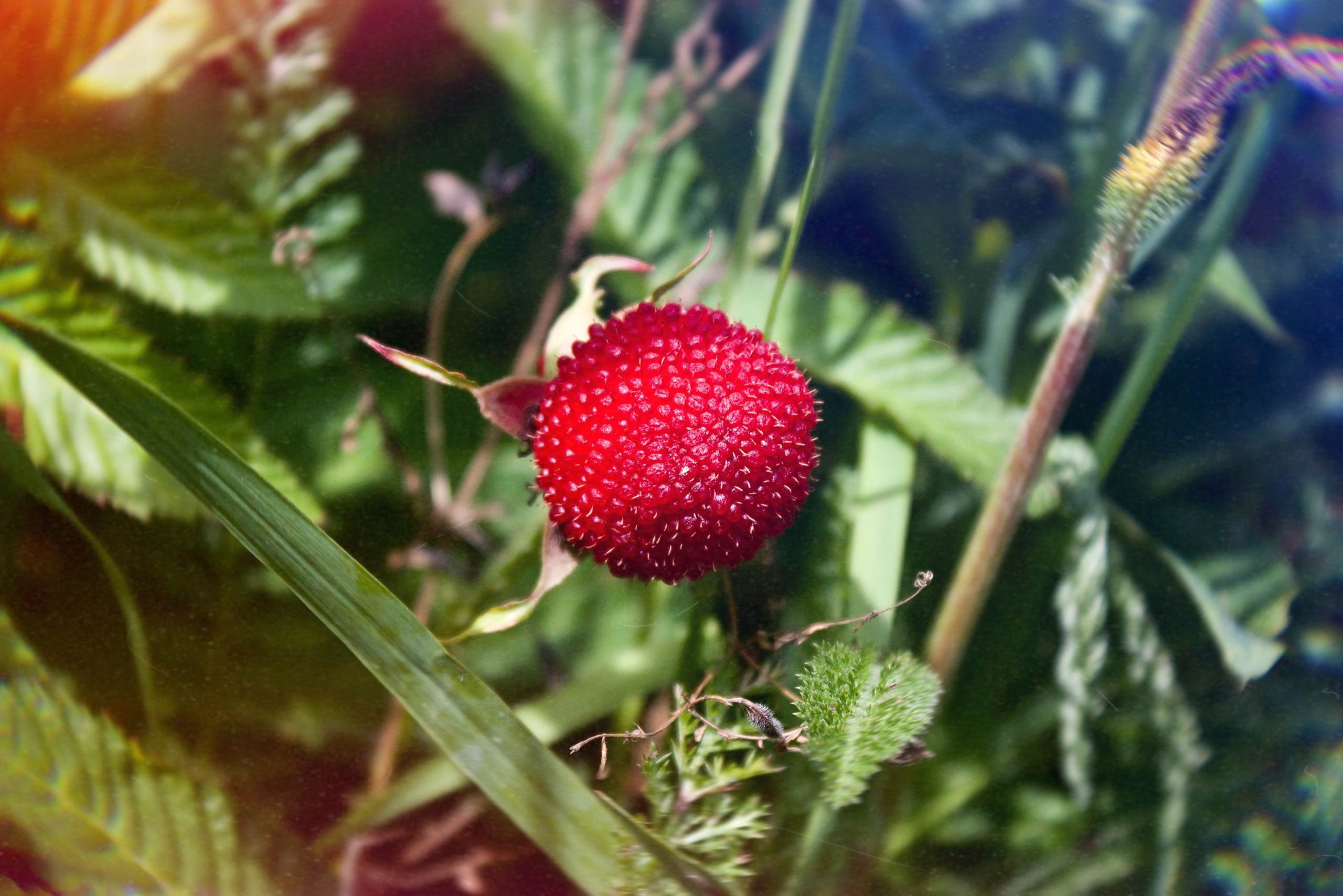 Флористическая. KUPINИ | ФОТО — сайт портфолио по мультижанровой съёмке | фотограф Сергей Мар