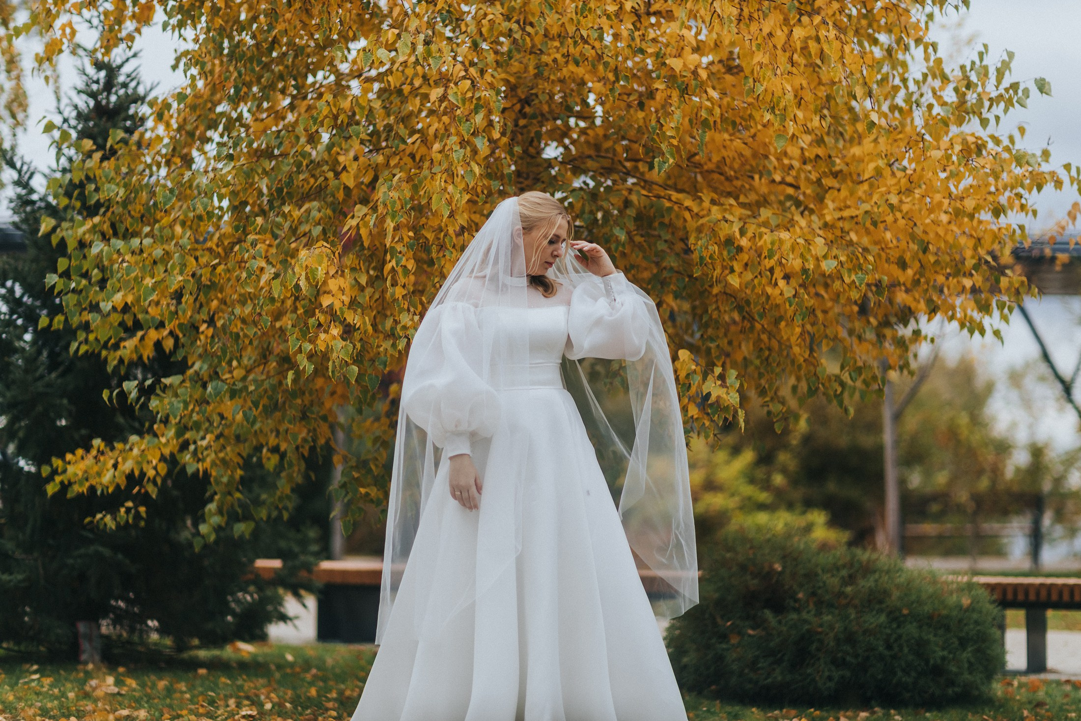 Егор и Екатерина. Осень, музей Машкова. Фотографы в городе Волгограде — Людмила Агеева и Алексей Околелов