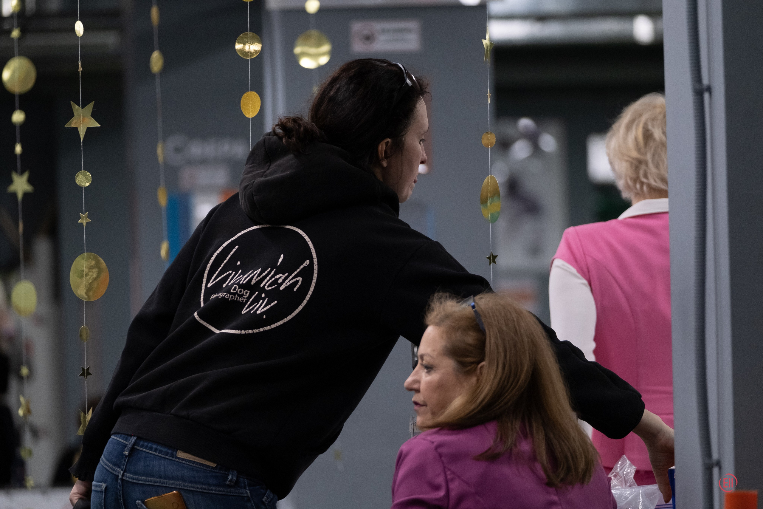 Праздник породы «Яркий мир китайских хохлатых собак». Питомник китайских хохлатых собак Poale Ell: купить щенка