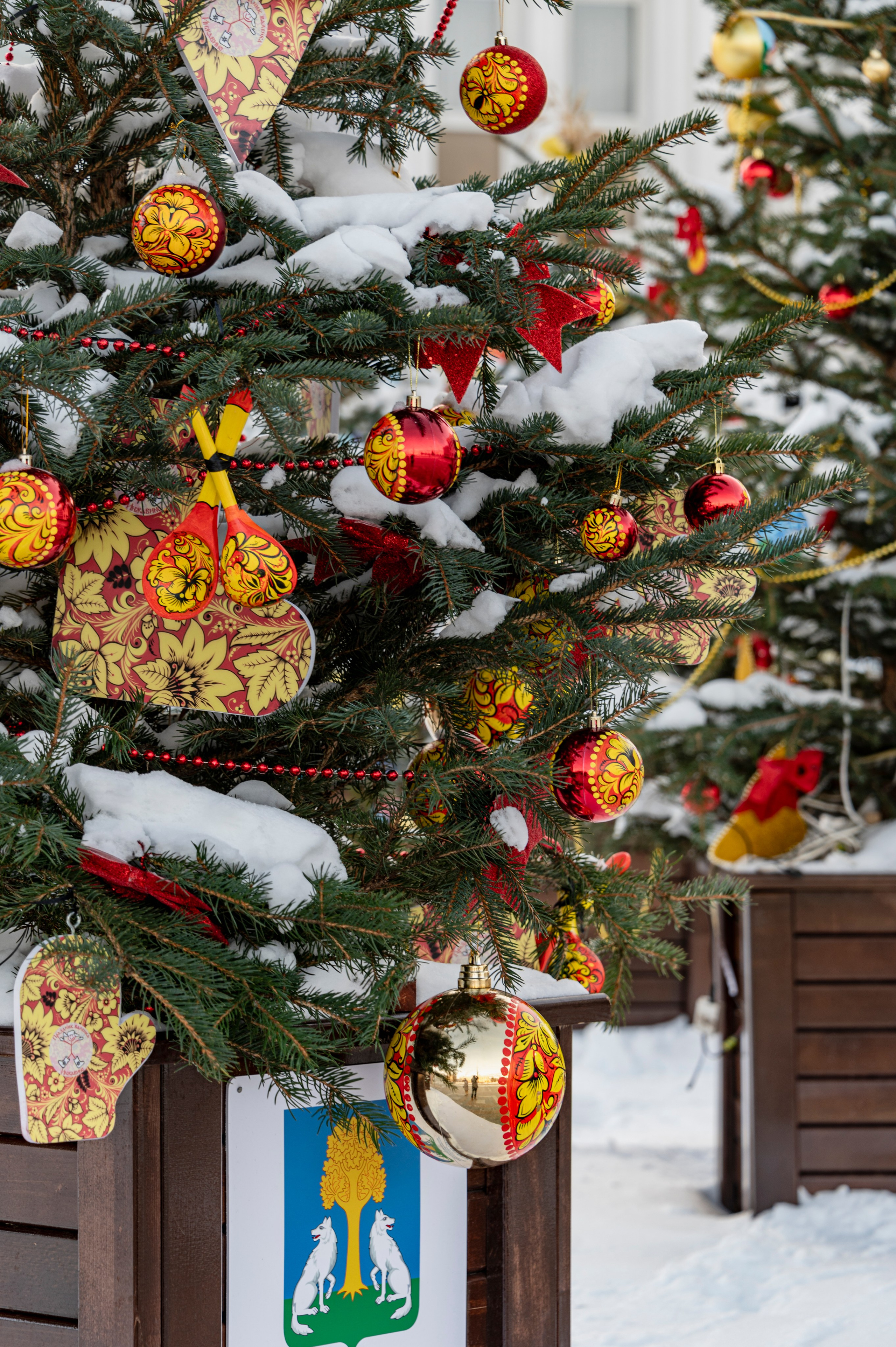 Январский Тамбов. 2024 год. Фотограф Роман Адлер