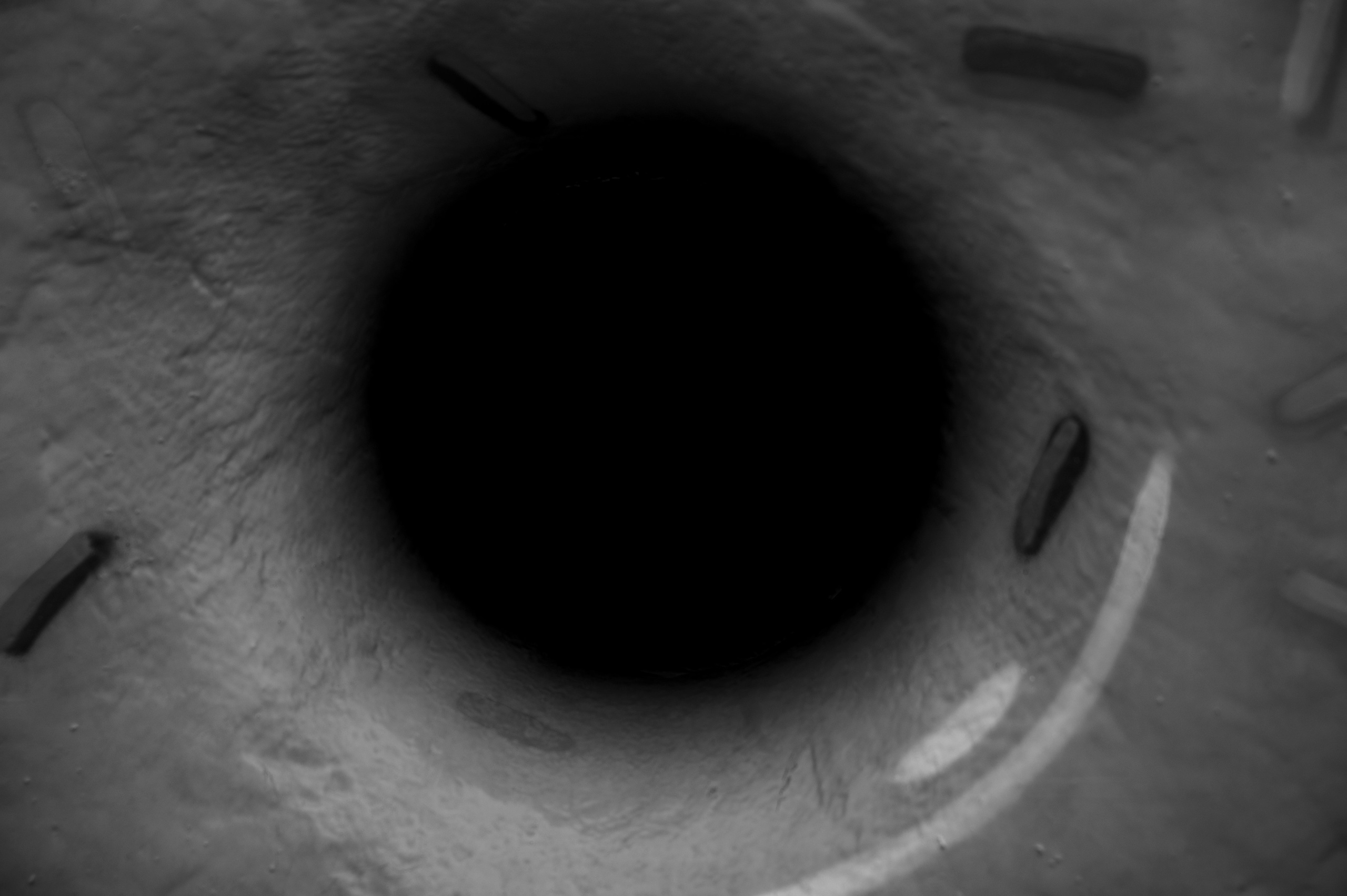 Казань. Сентябрь 2022. Фотограф Роман Адлер