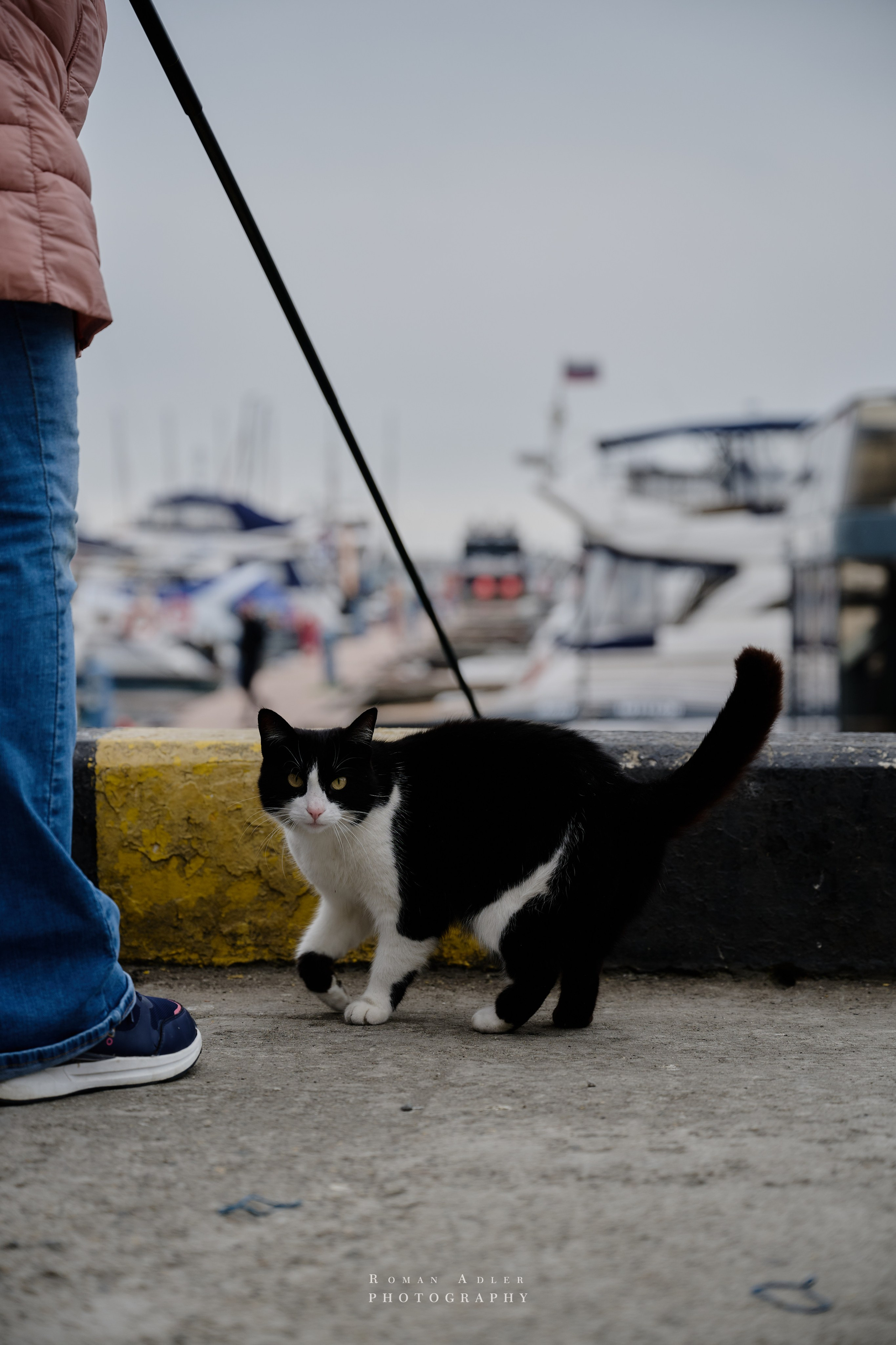 Сочи. Апрель 2025. Фотограф Роман Адлер