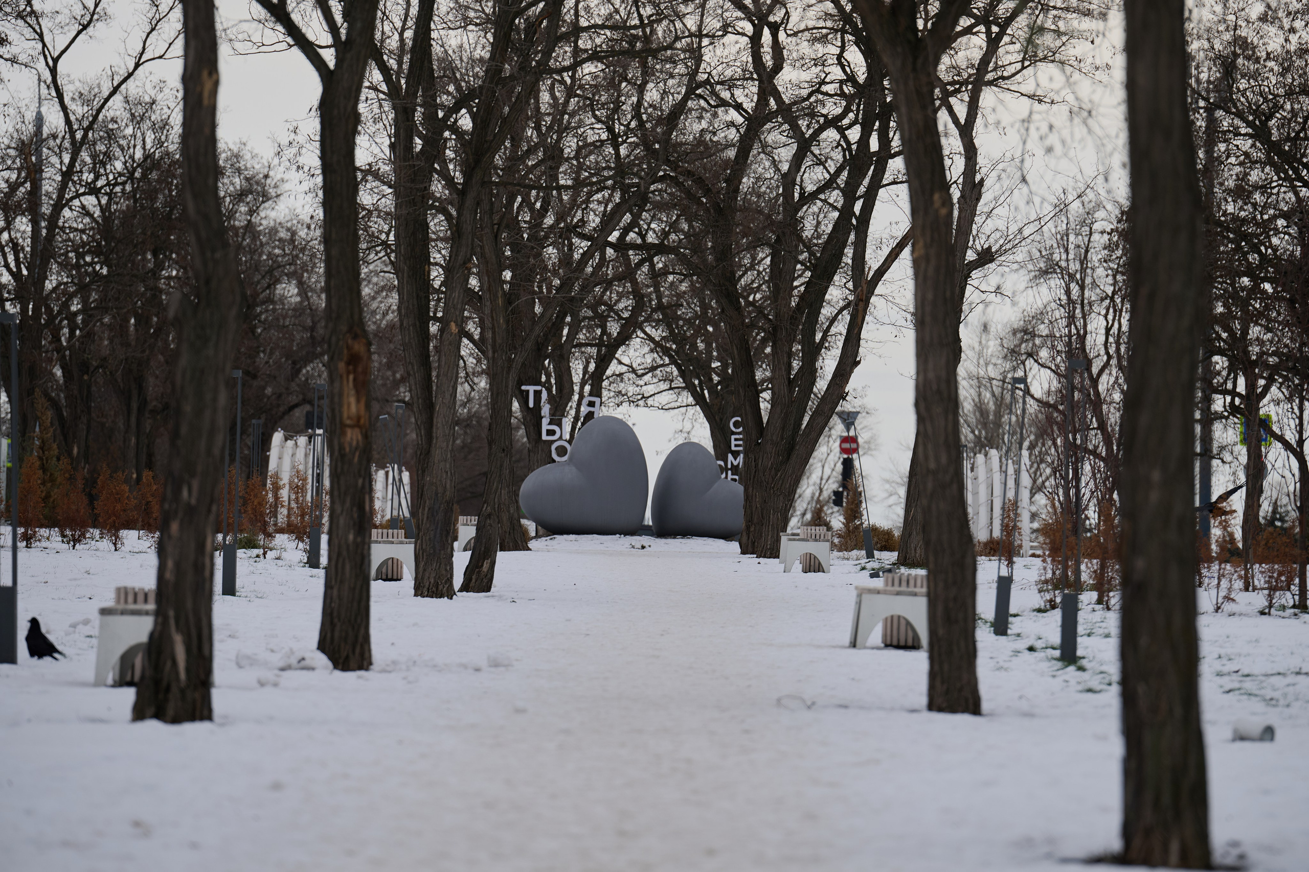 Луганск. Январь 2026. Фотограф Роман Адлер