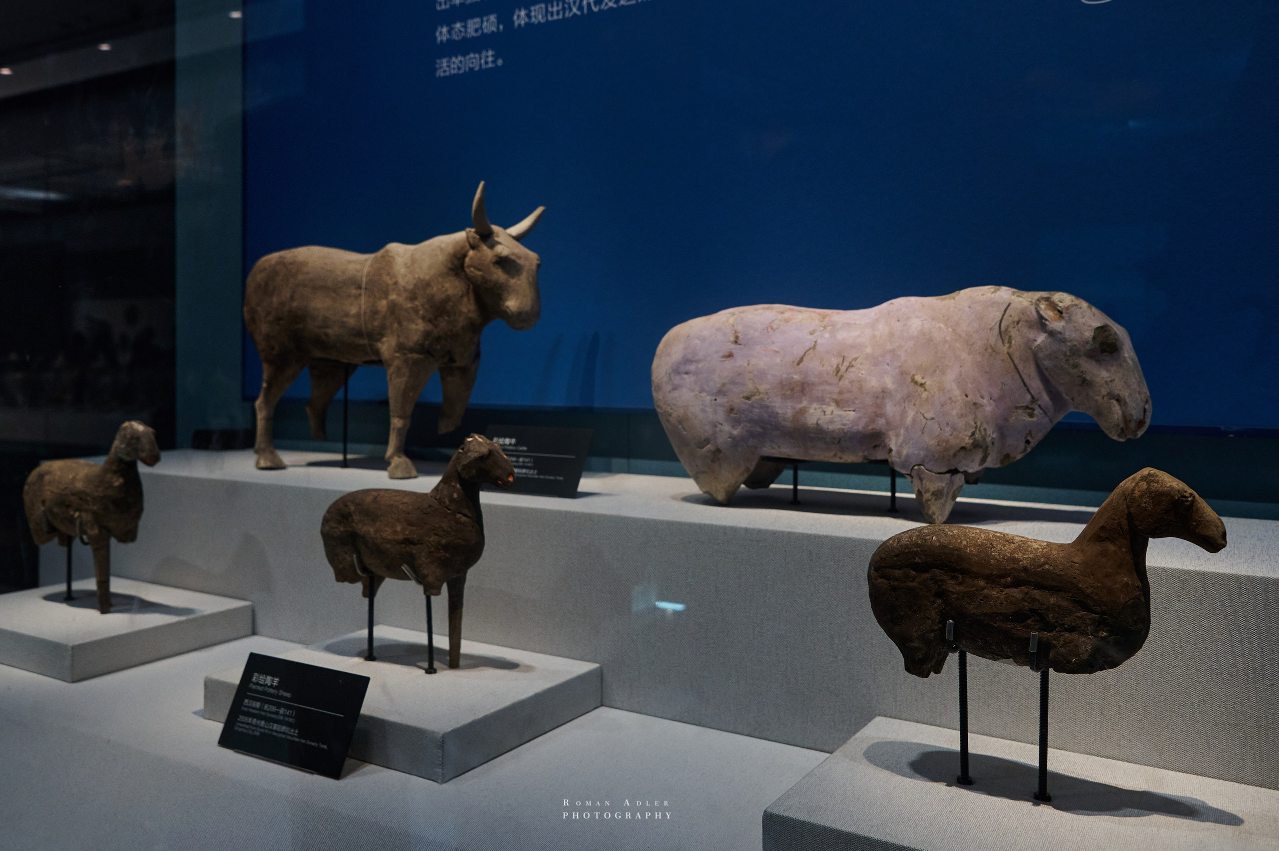 Национальный краеведческий музей Цинчжоу. Фотограф Роман Адлер