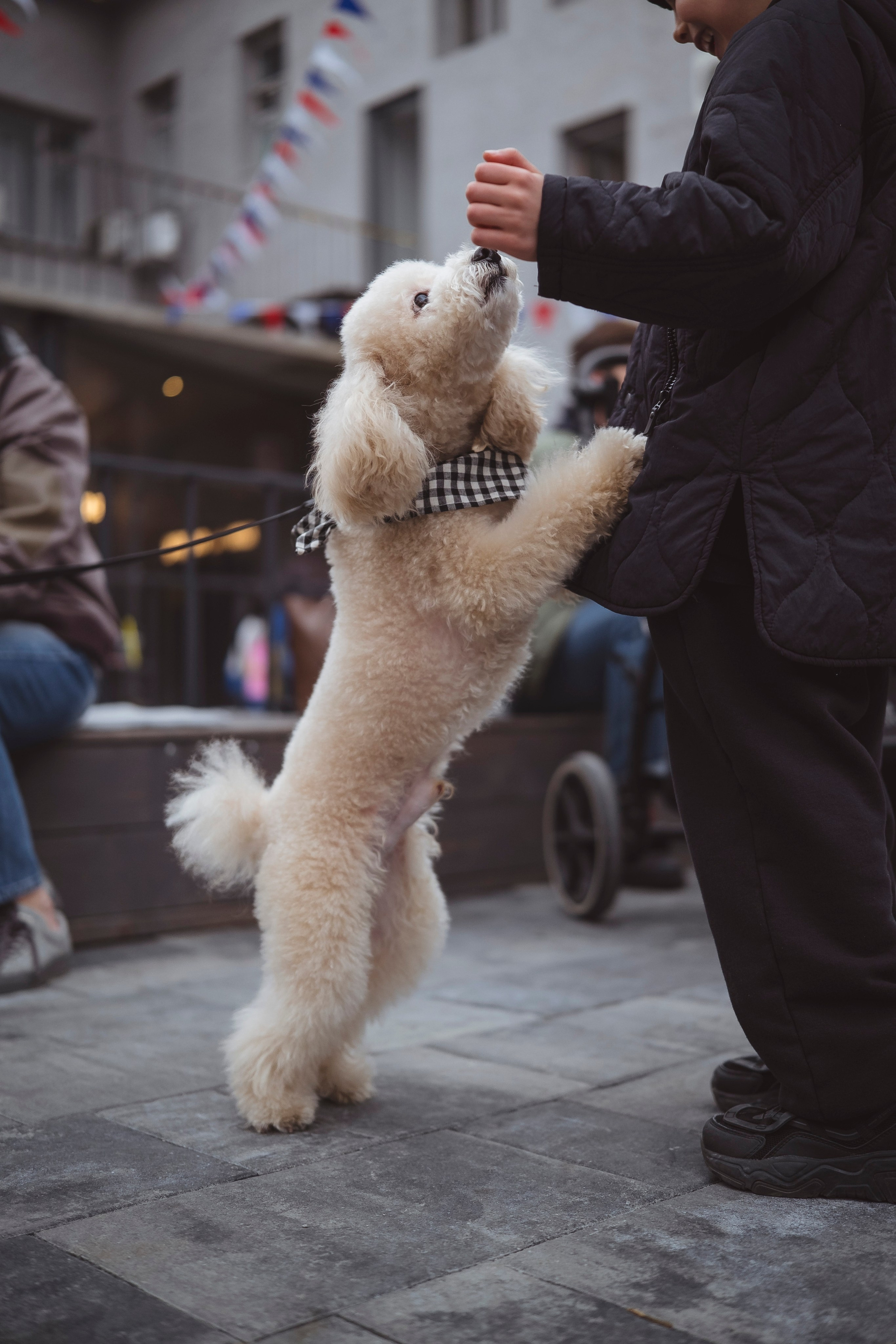 Масленица Inside. Главная