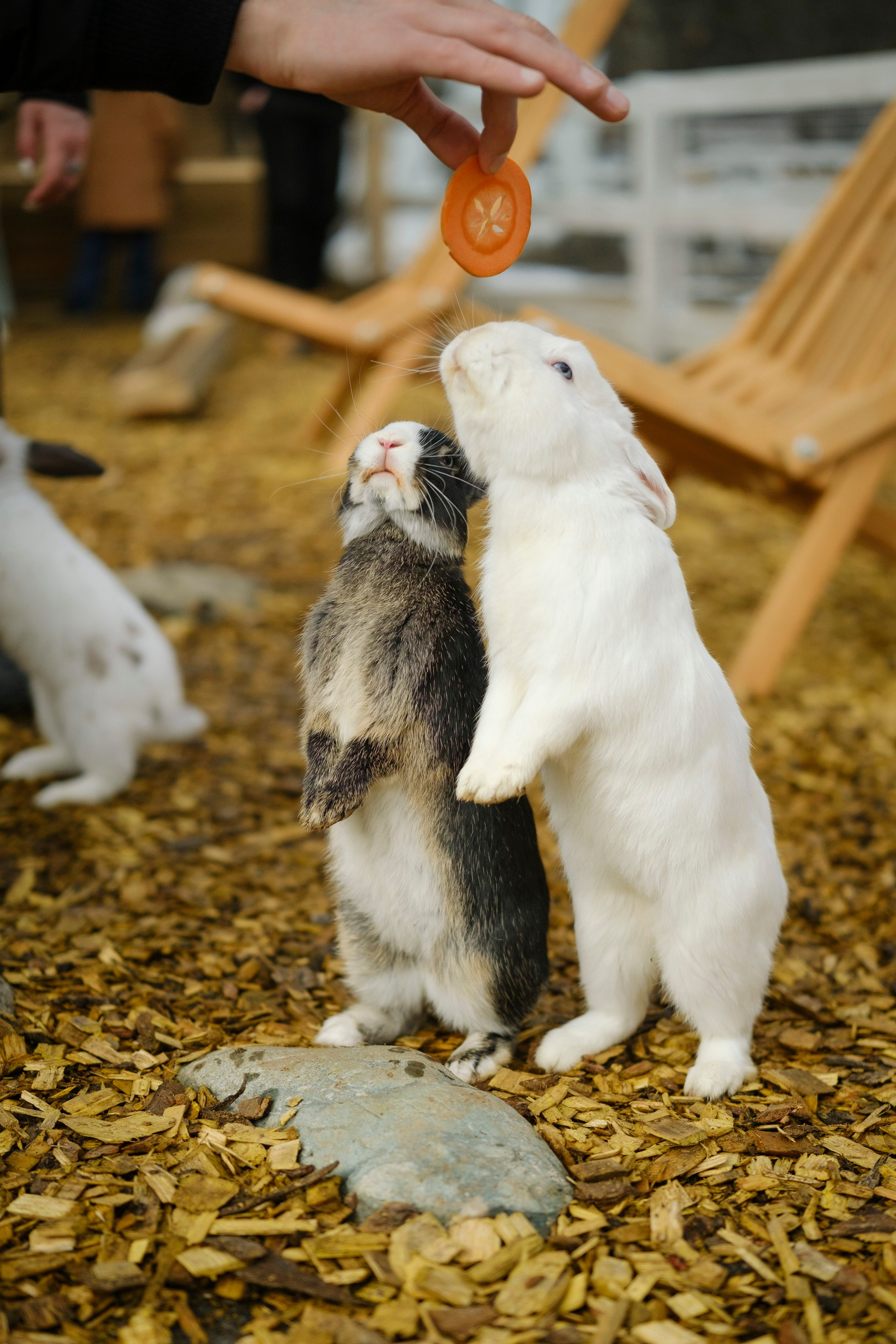 Архыз 9-11 02 24. Главная