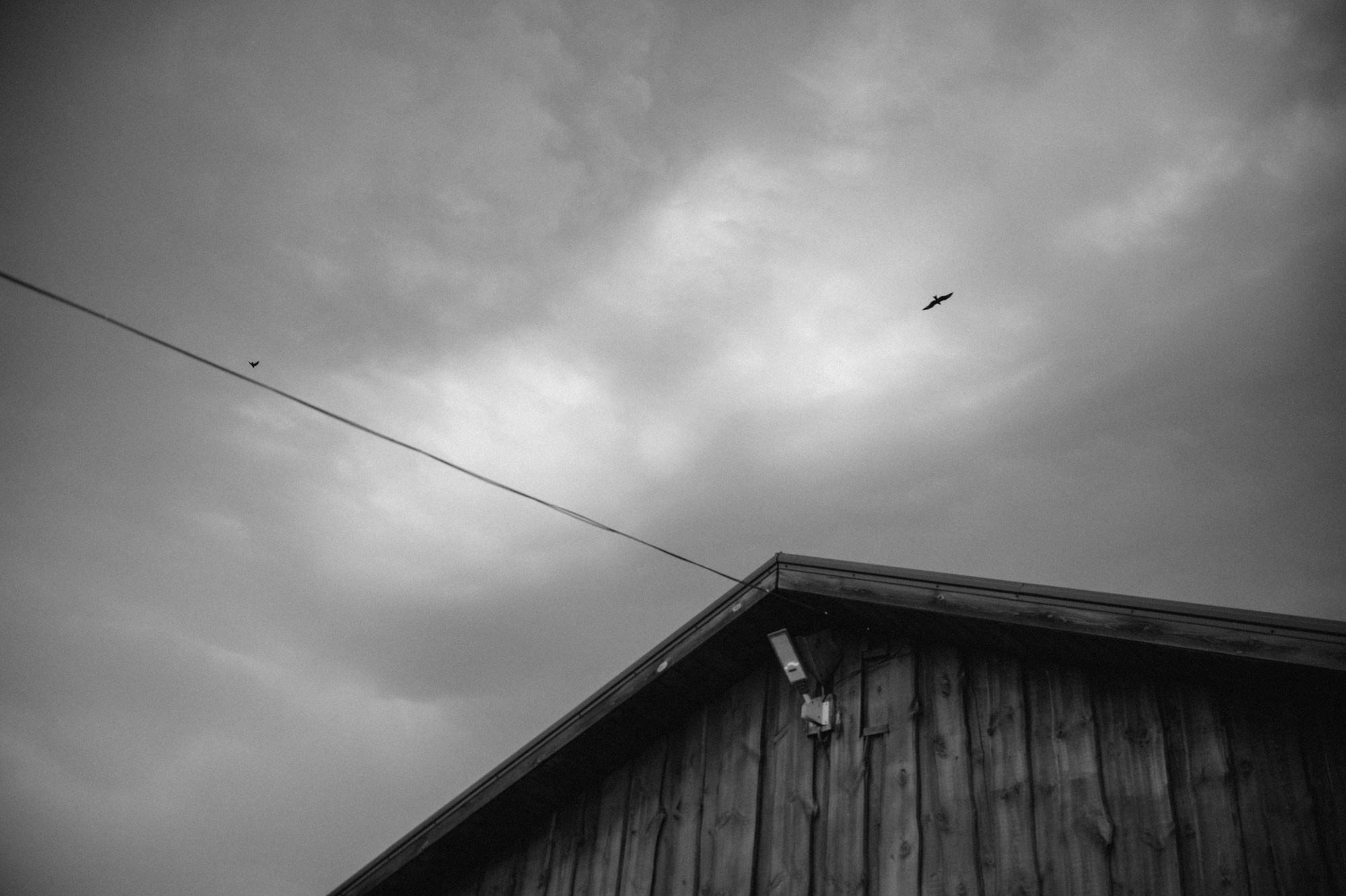 Когда мечты обретают смысл…. Свадебный и семейный фотограф в Абакане Василевский Алексей