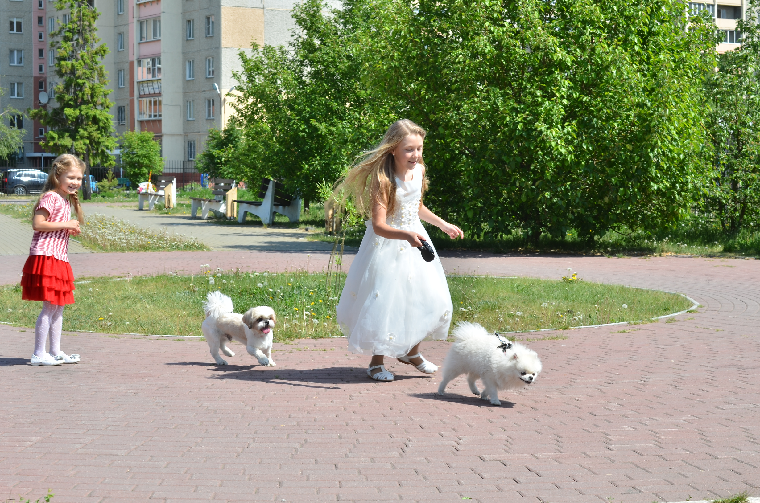 Семейная фотосессия. Выпускные фотокниги, фотосъемка, видеосъемка в Челябинске и области