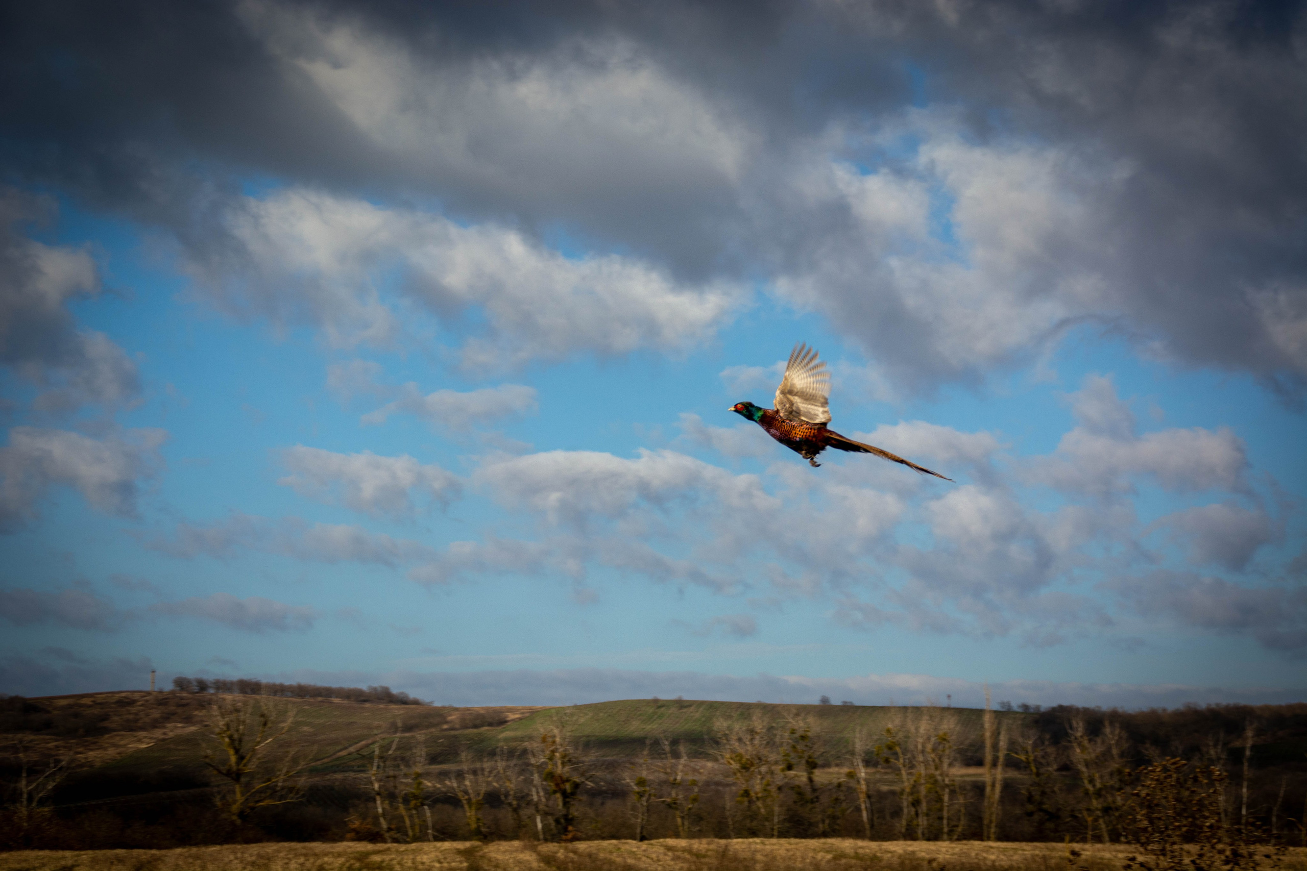 Природа в фотографии, взгляд на прекрасное через объектив фотоаппарата. Елена Волкова семейный фотограф в станице Гостагаевской города-курорта Анапа