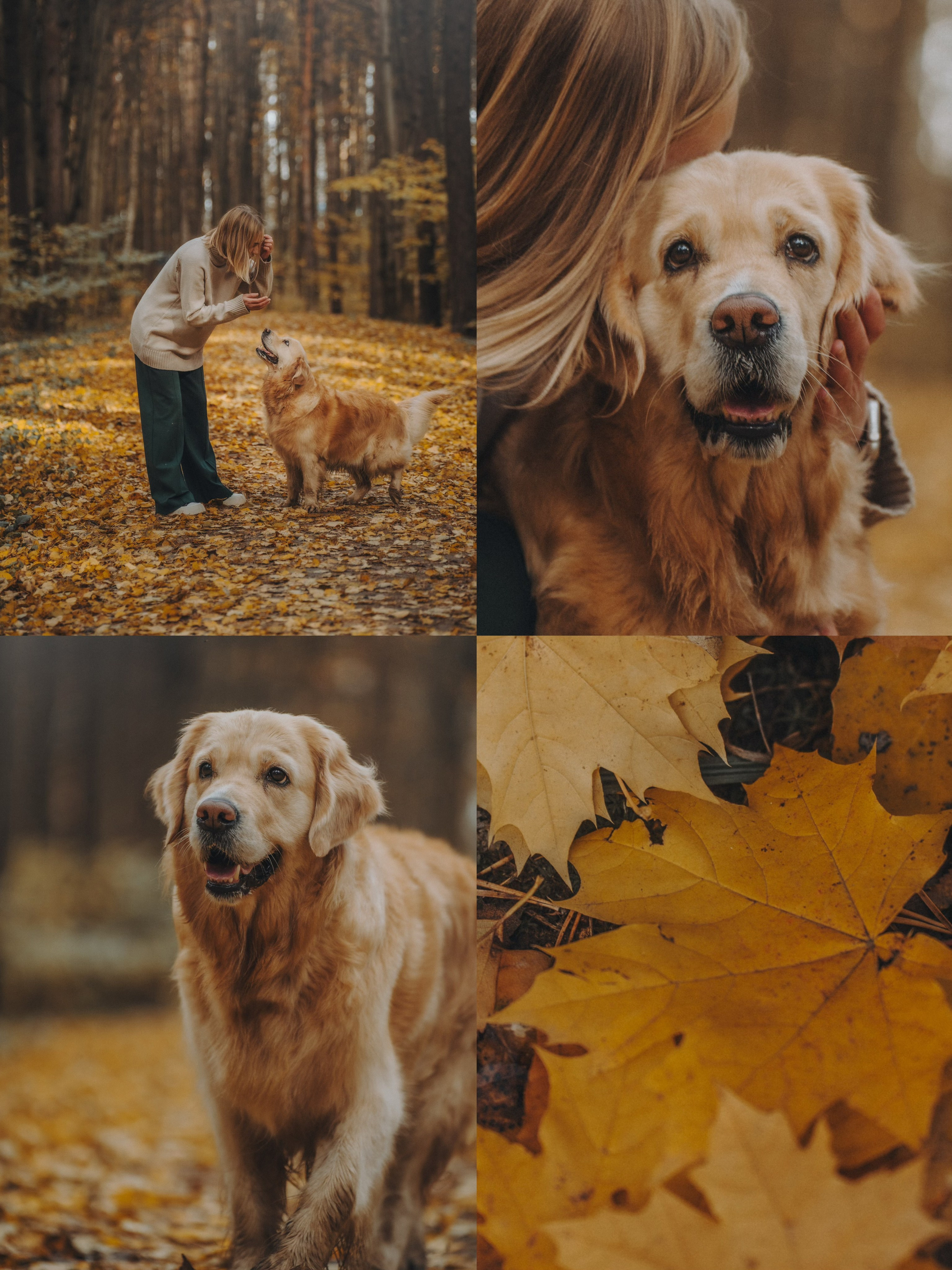 Анастасия и Айза. Фотограф анималист в Москве и Санкт-Петербурге Свиридова Анна