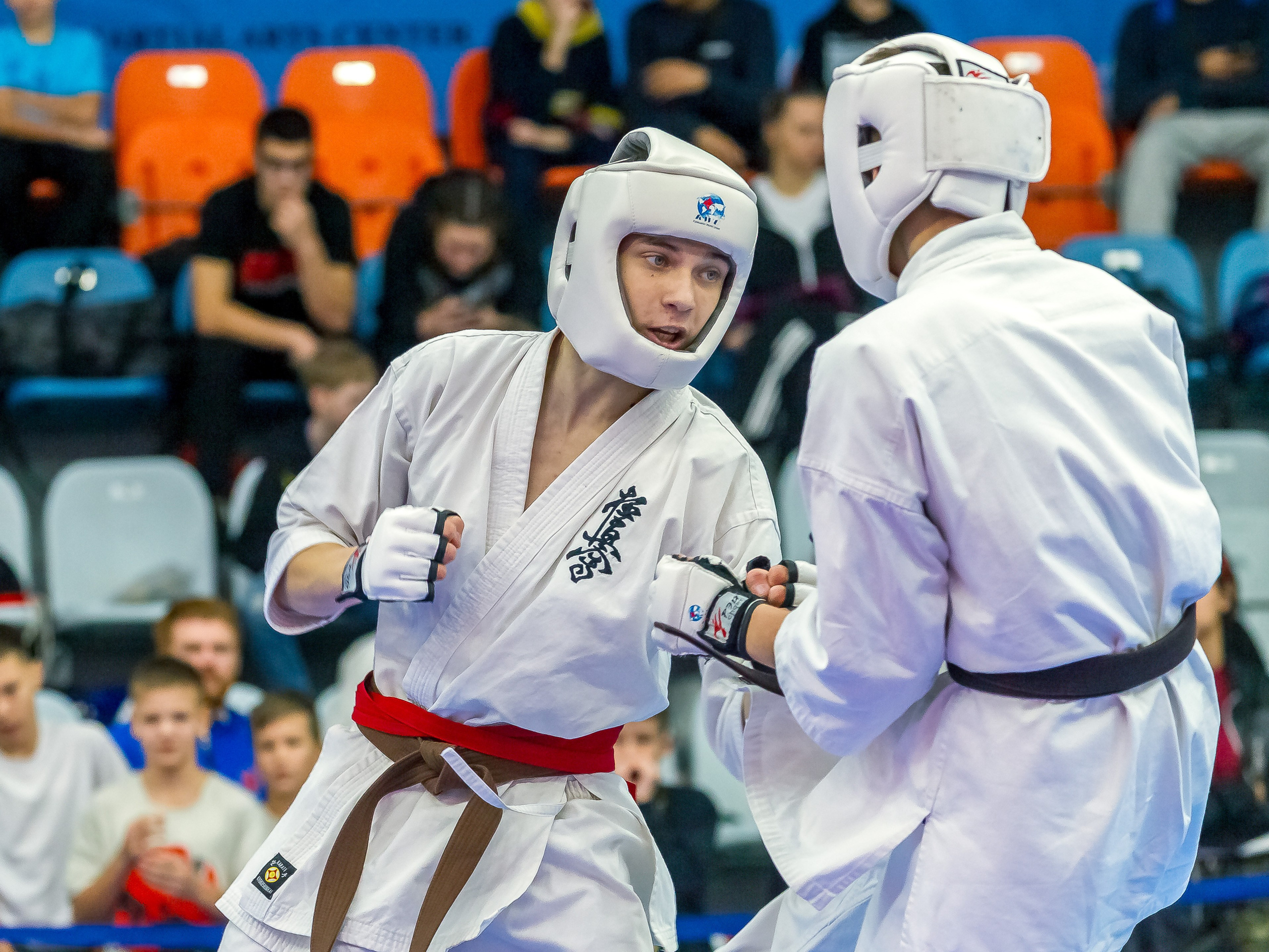 Соревнования по Киокушин памяти С. Увицкого. Репортажная съемка в Москве и области. Анималистика