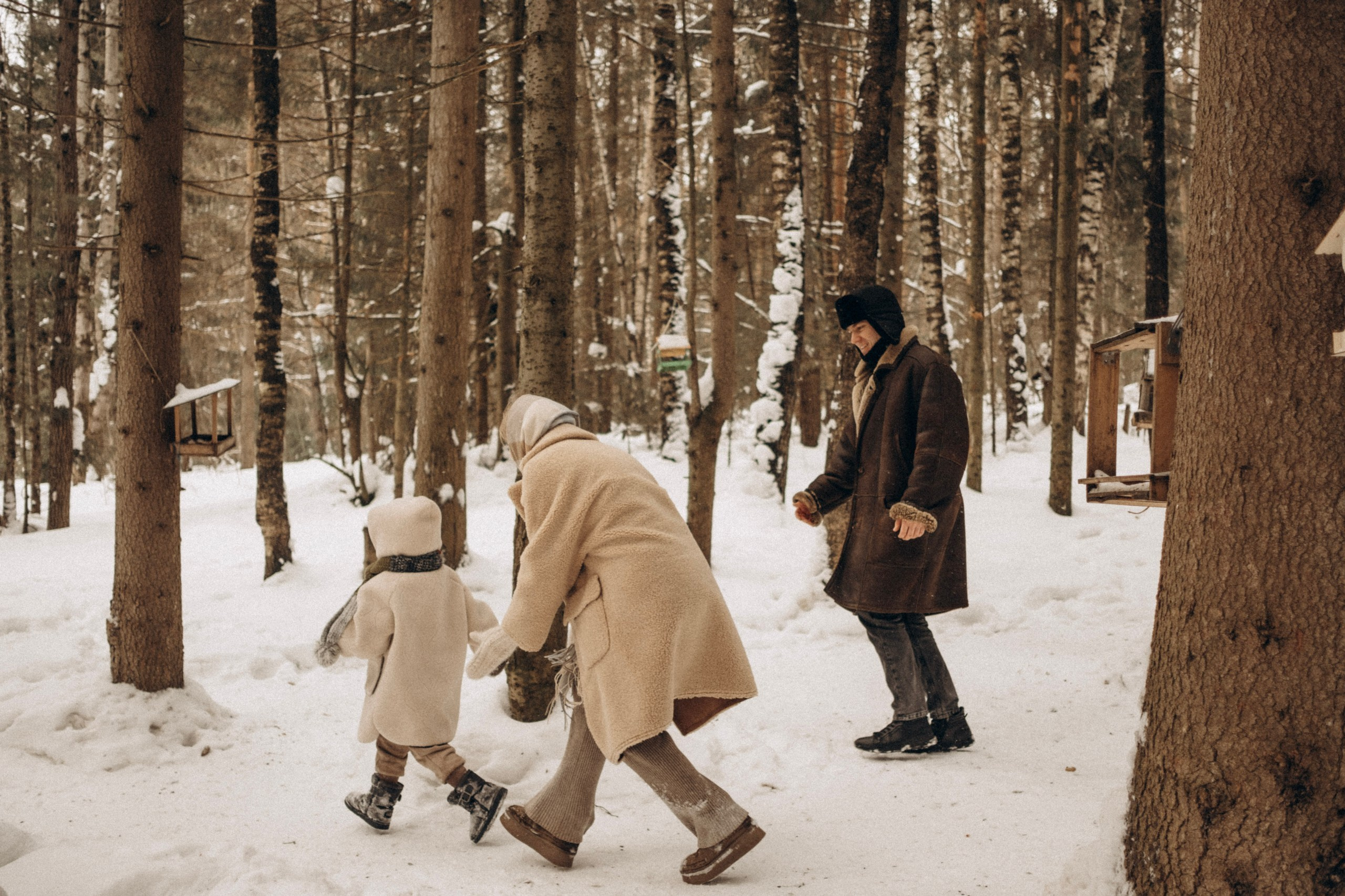 Зимняя история. Главная