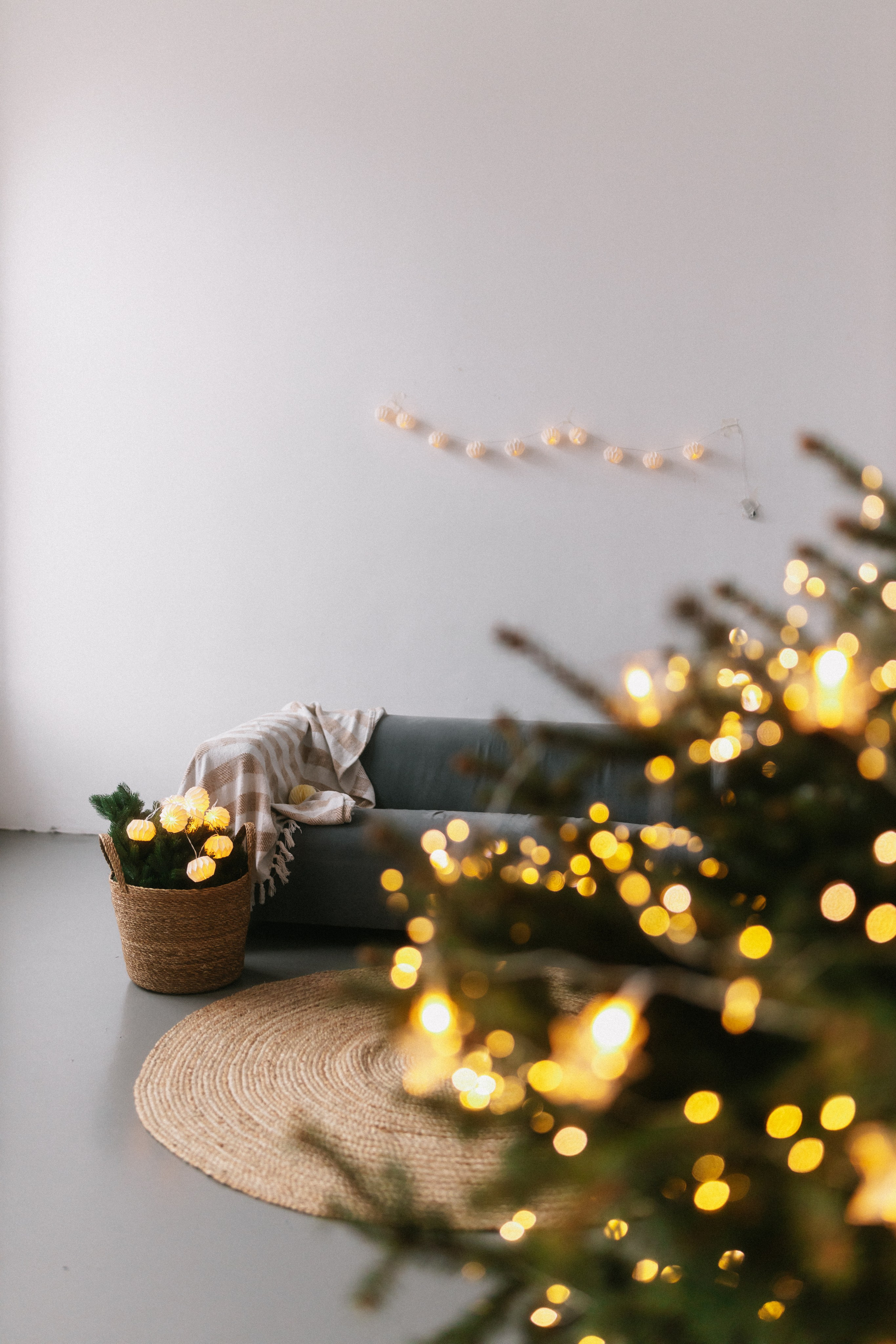 Наша большая семья. Ланемец Юлия — фотограф Волгоград/Волжский